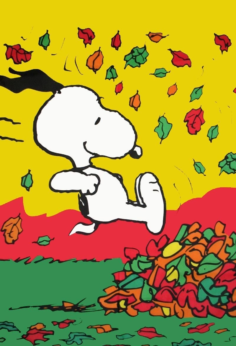 800x1180 Free download peanuts fall fun, Phone