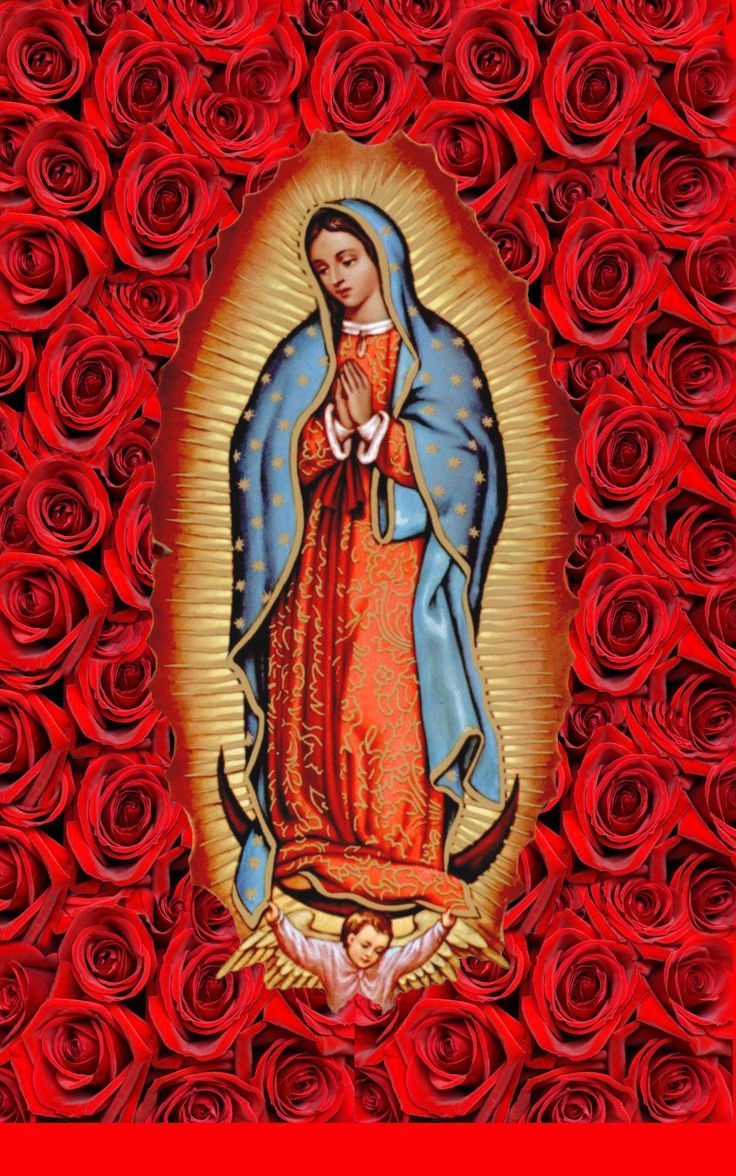 740x1180 LA ROSA DE GUADALUPE WALLPAPERS ideas. virgin of guadalupe, blessed mother, blessed mother mary, Phone