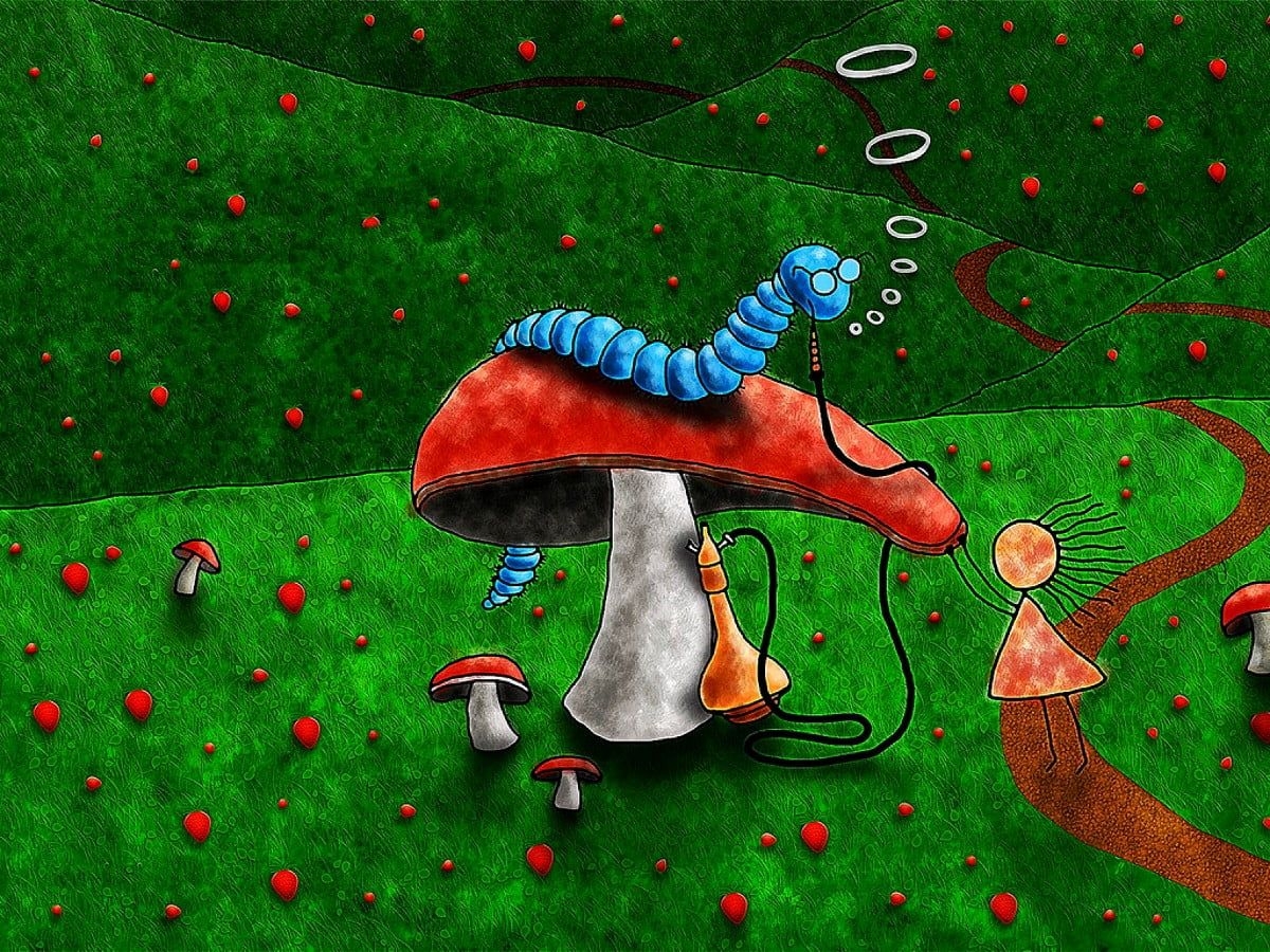 1200x900 Beautiful wallpaper Graphic Art, Mushroom, Green. TOP Free Download wallpaper, Desktop