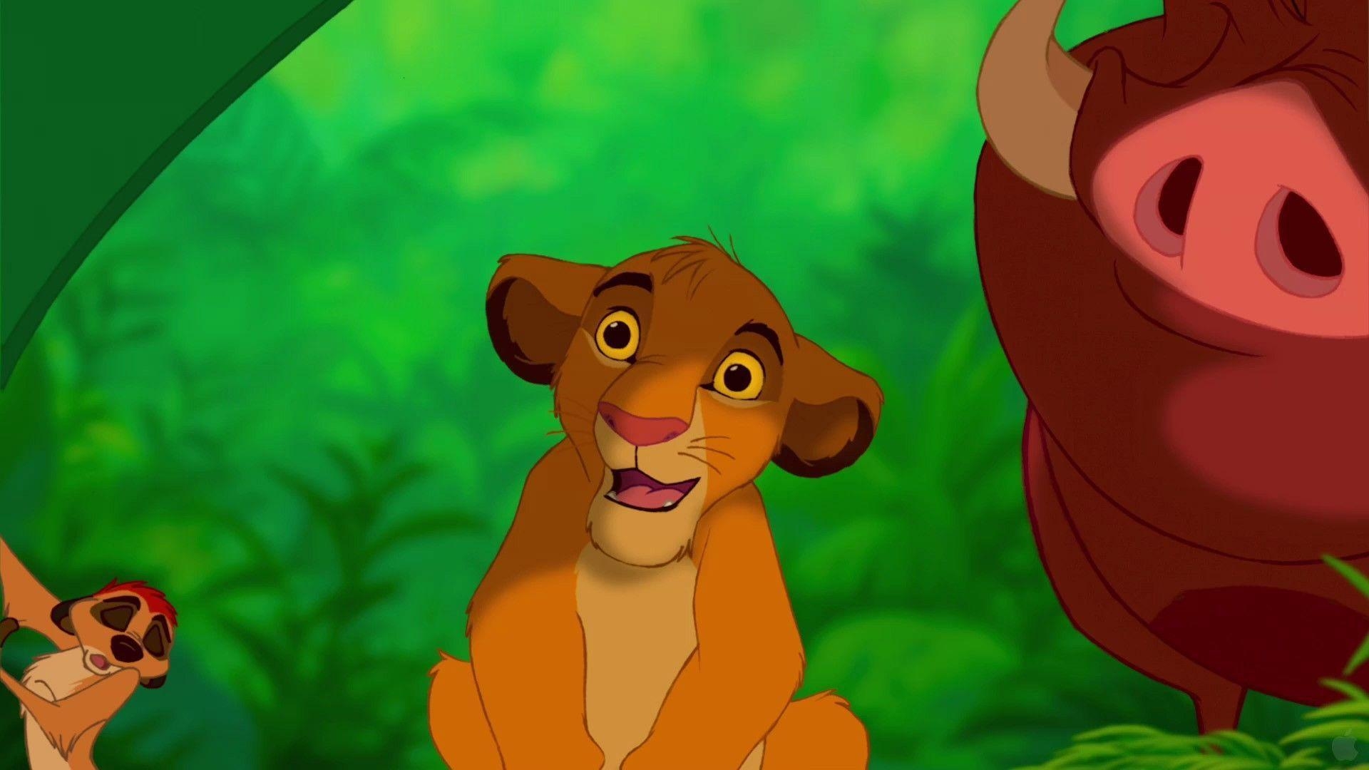 1920x1080 Lion King: Simba, Timon and Pumbaa. Download HD Wallpaper, Desktop