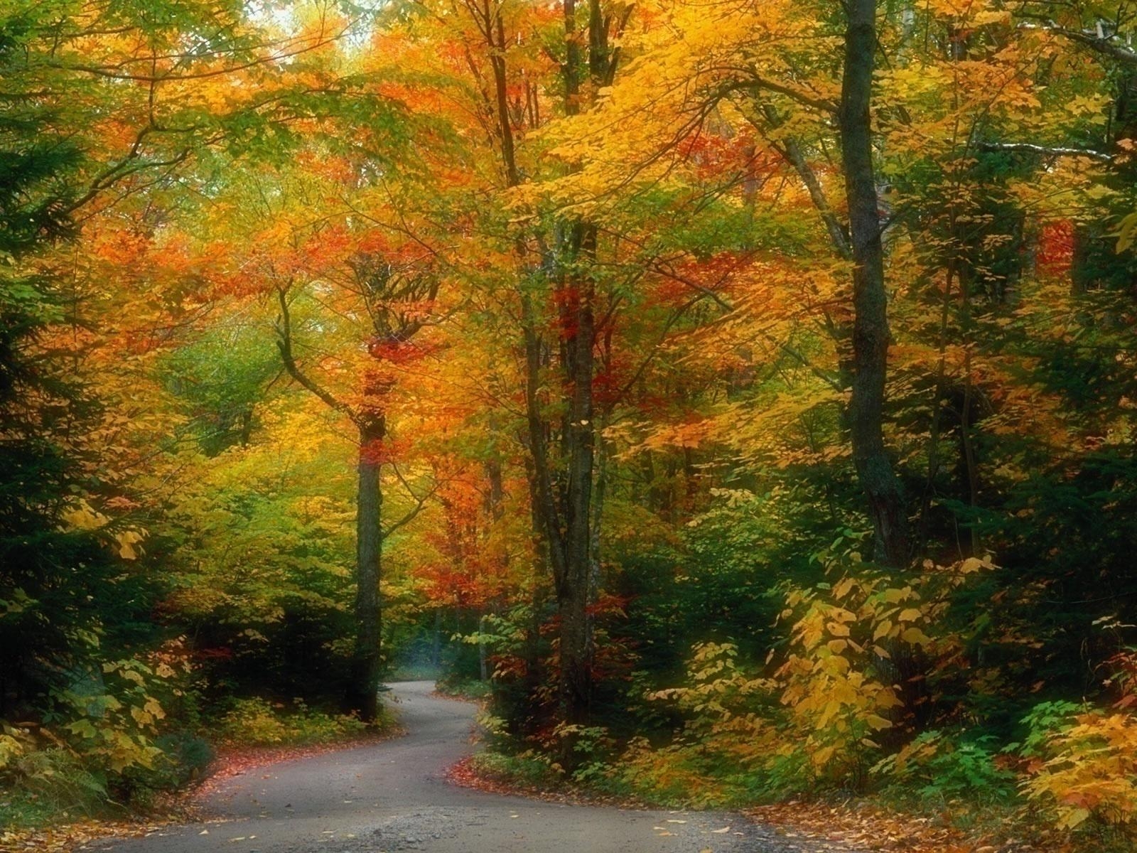 1600x1200 Most Beautiful Autumn Scenery Wallpaper, HD Wallpaper, Desktop