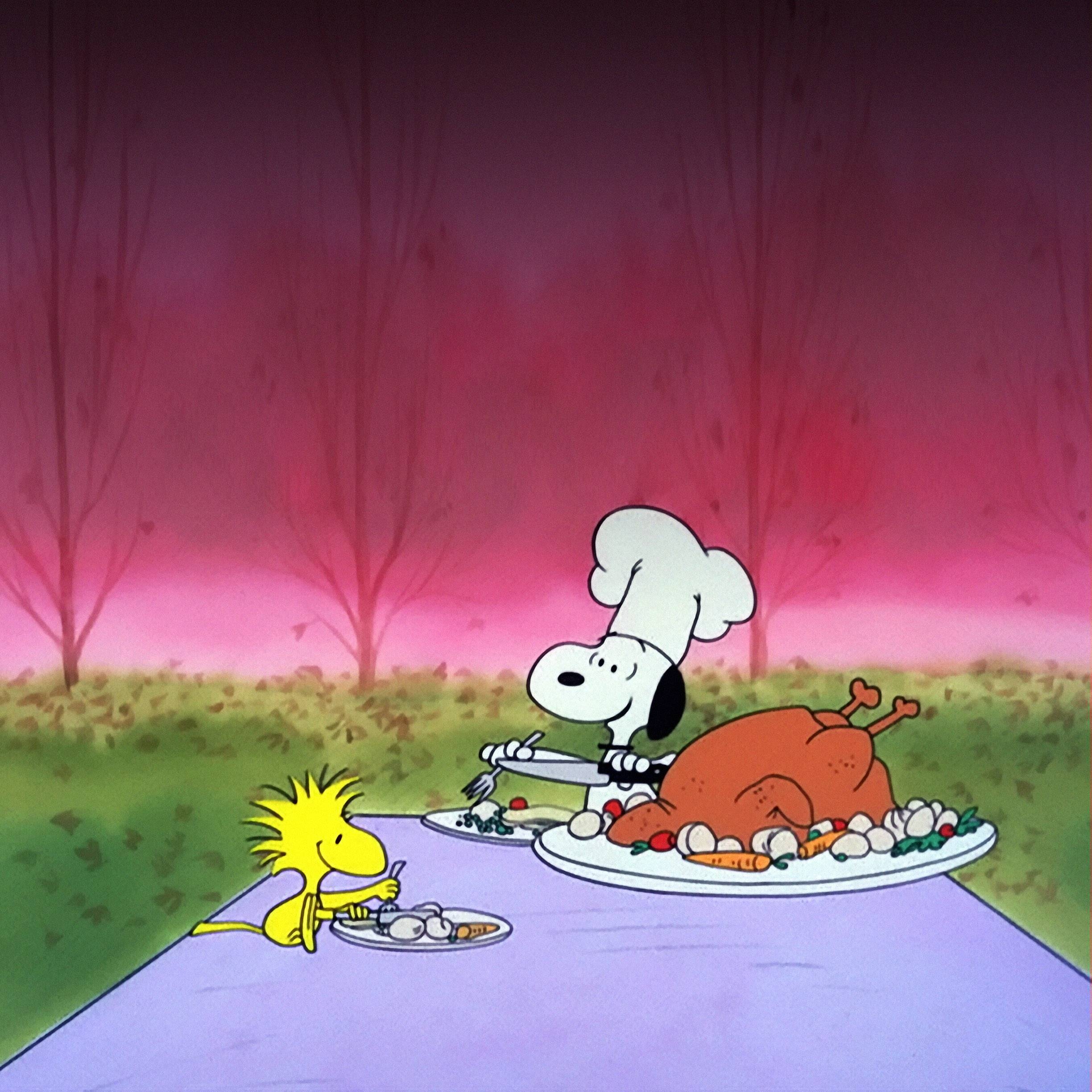 2450x2450 Wallpaper For > Charlie Brown Thanksgiving Background, Phone