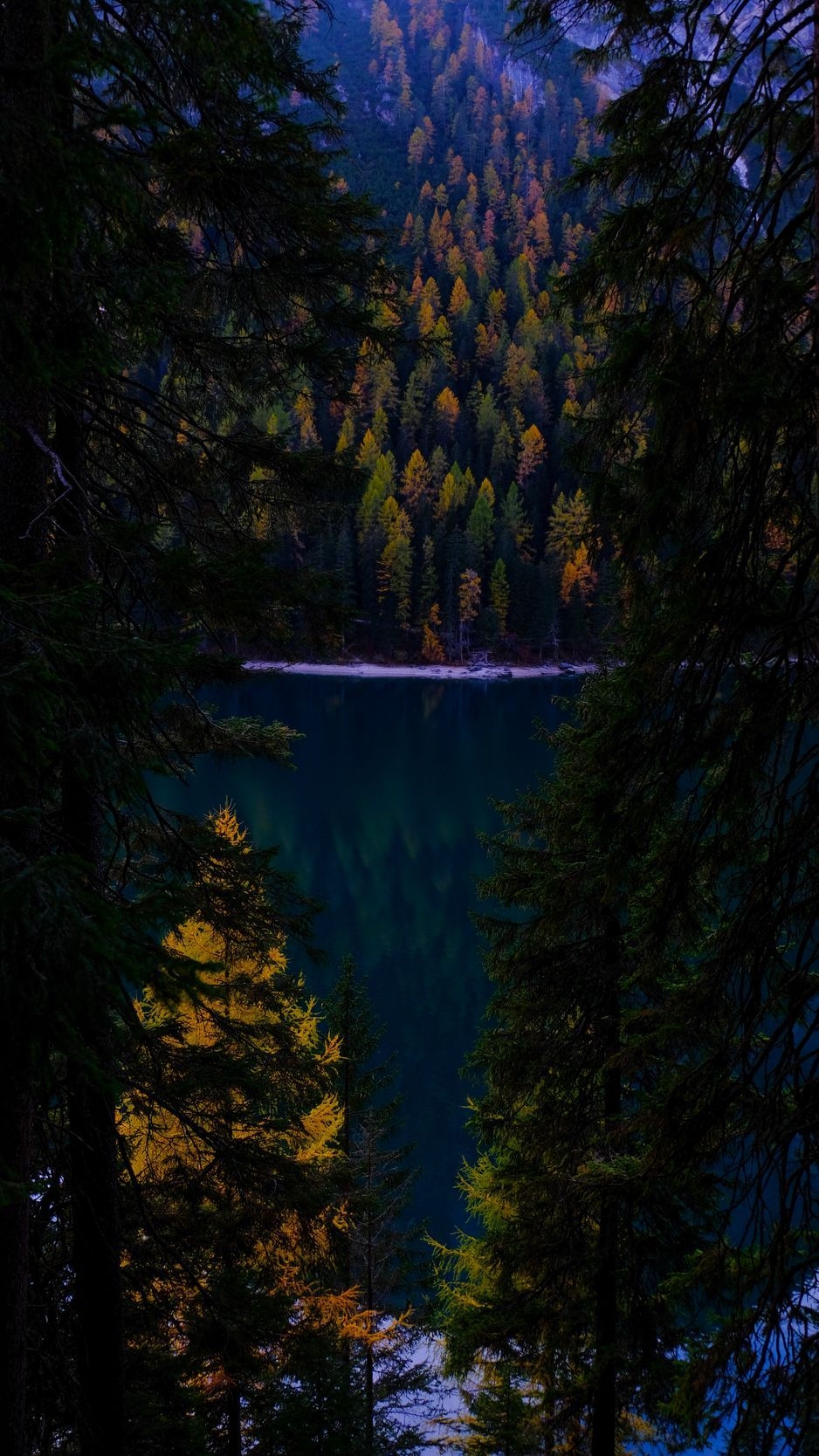 940x1670 Download Wallpaper  Forest, Autumn, Lake, Branches, Dark Iphone 8 7 6s 6 For Parallax HD Background, Phone