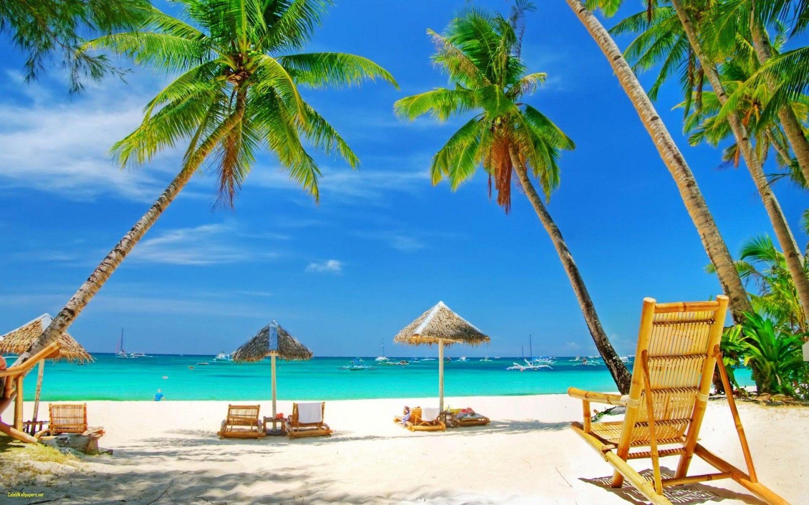 1600x1000 Beach Wallpaper Beautiful Tropical Beach Widescreen Full HD, Desktop