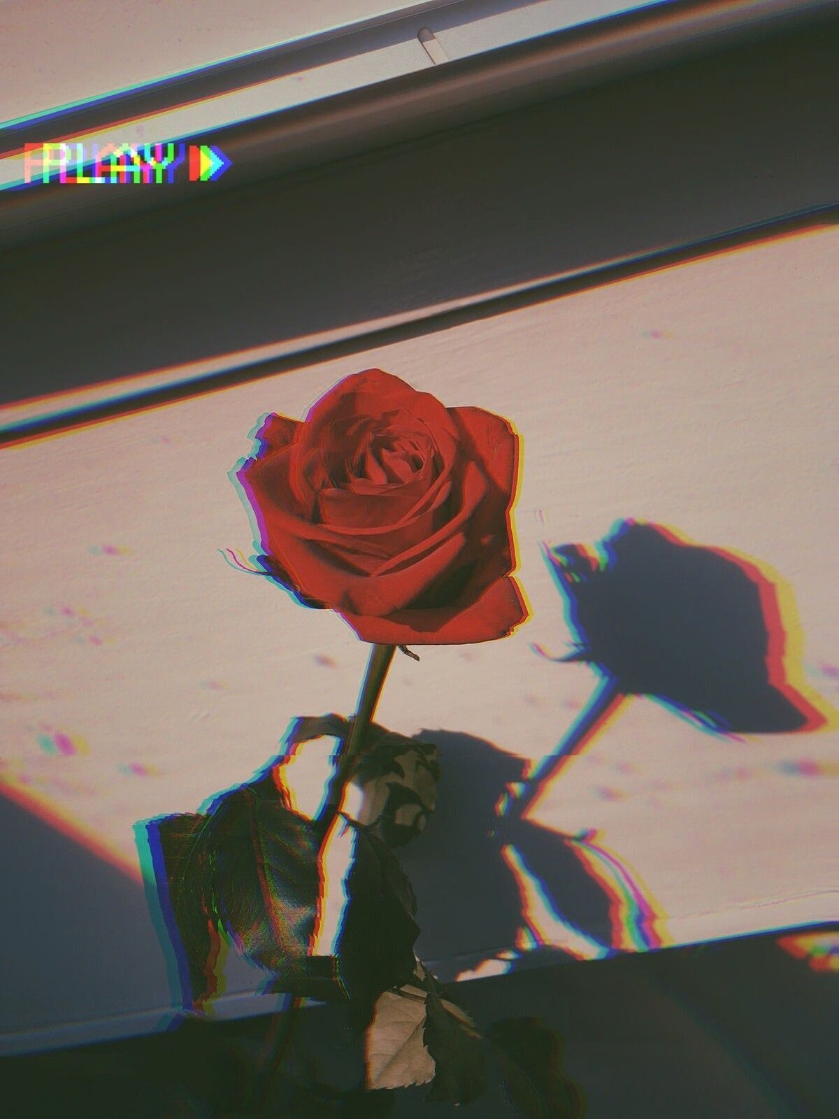 1200x1600 Depressed Roses Wallpaper, Phone