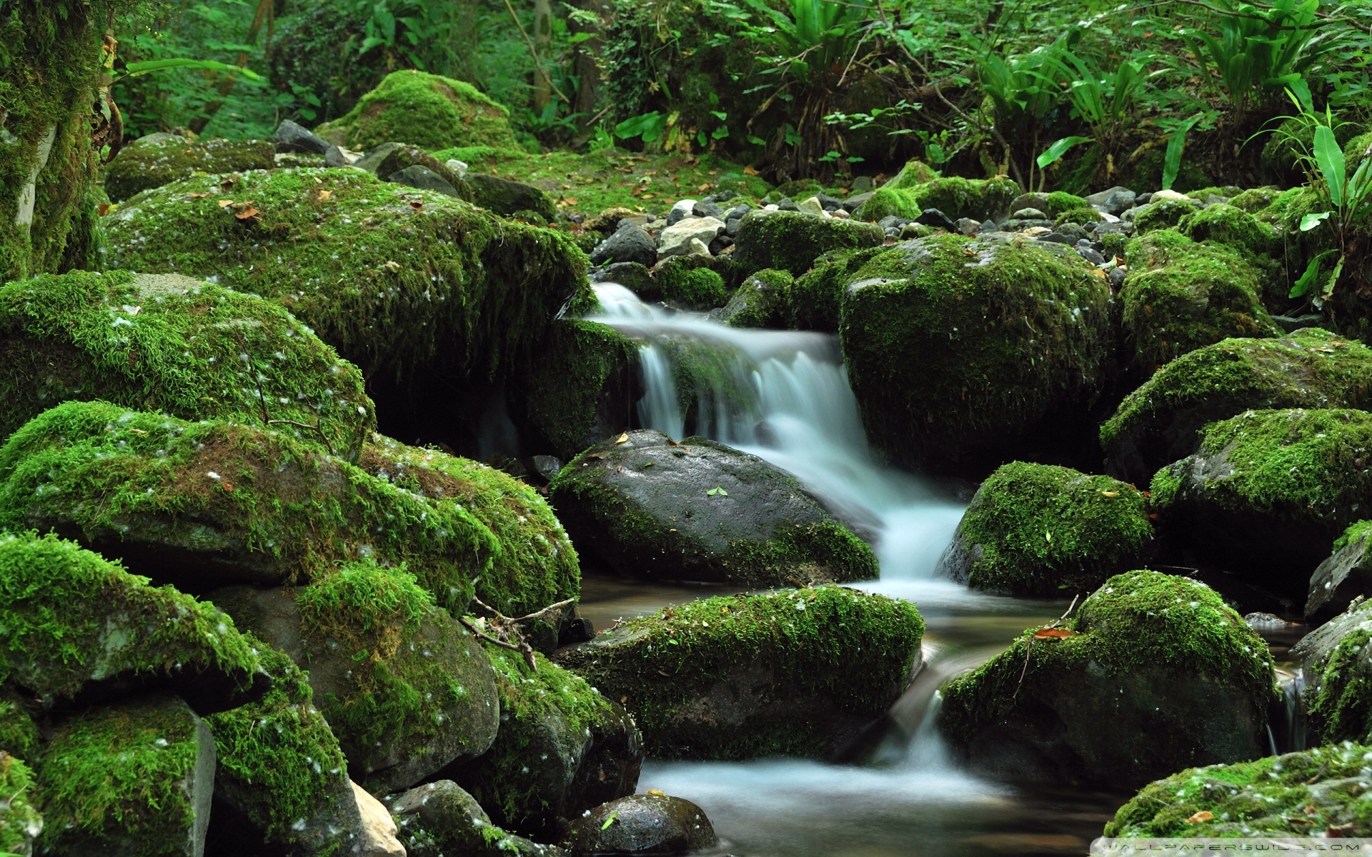 1920x1200 Small Waterfall ❤ 4K HD Desktop Wallpaper for 4K Ultra HD TV • Dual, Desktop