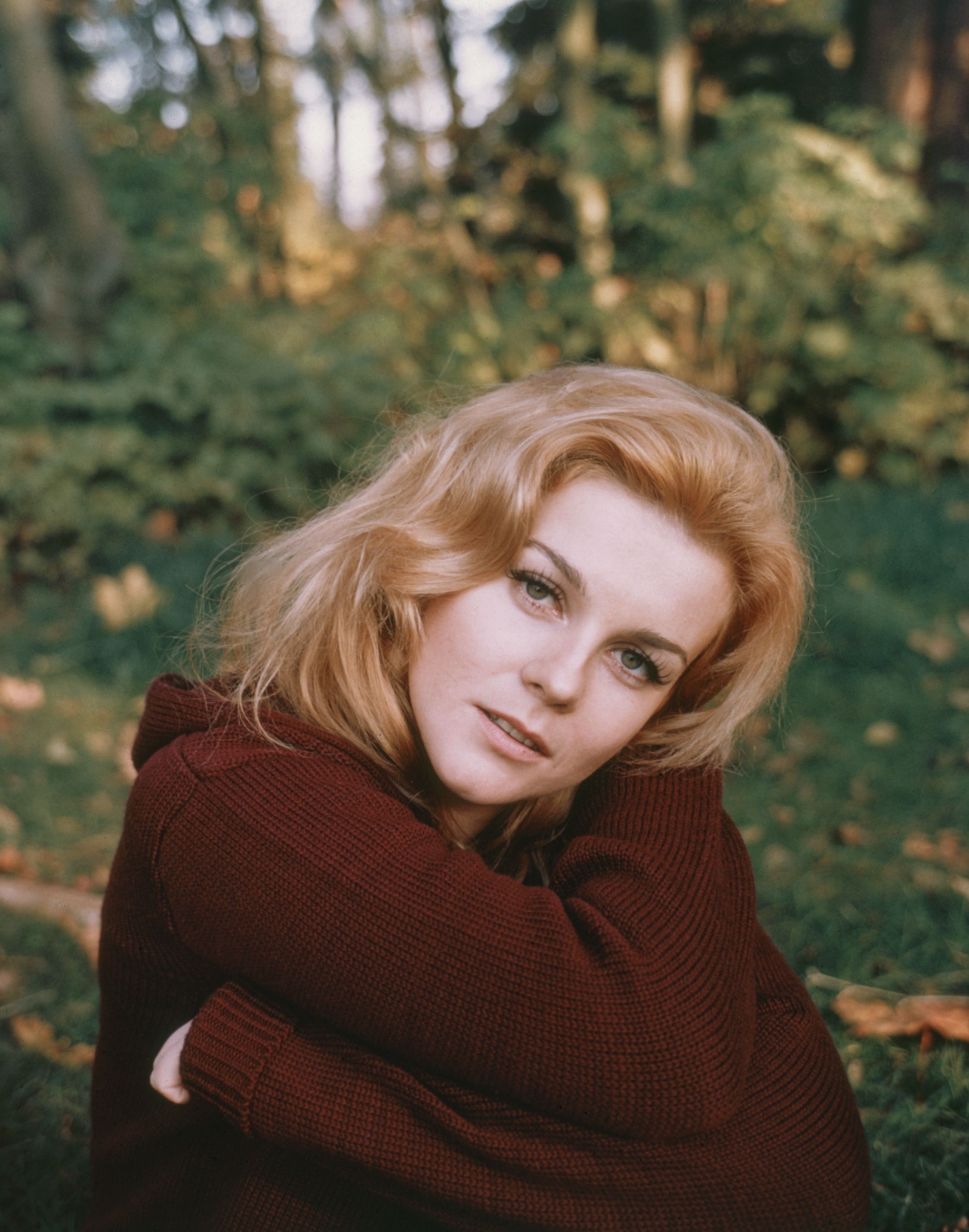 2620x3340 Ann Margret's Secret Moments, Phone