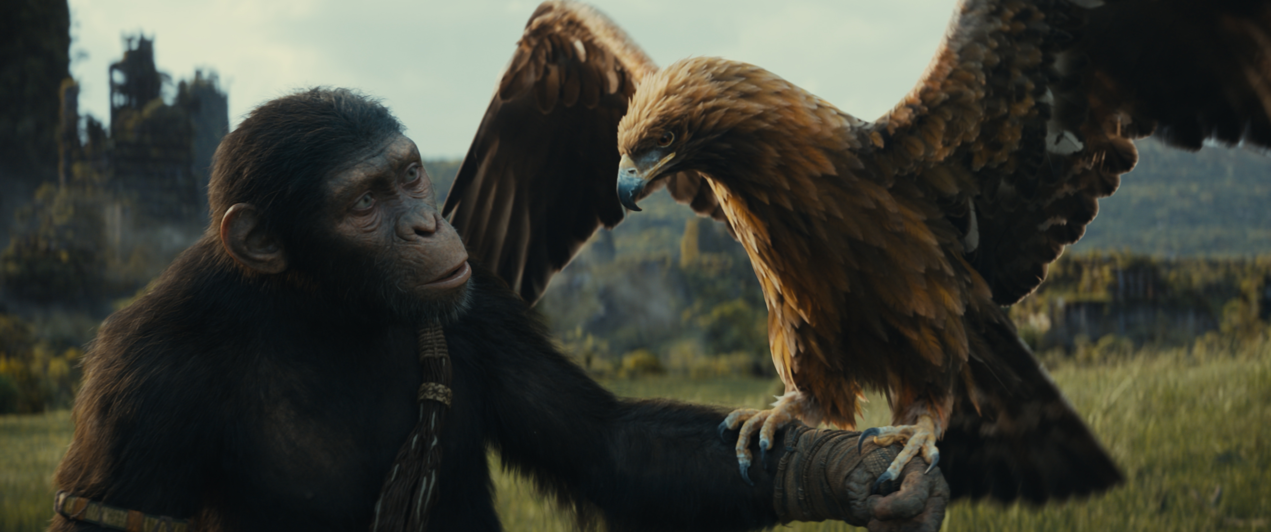 4100x1720 20th Century Studios reveal first trailer and image for “Kingdom of the Planet of the Apes” exclusively in theaters May 2024, Dual Screen