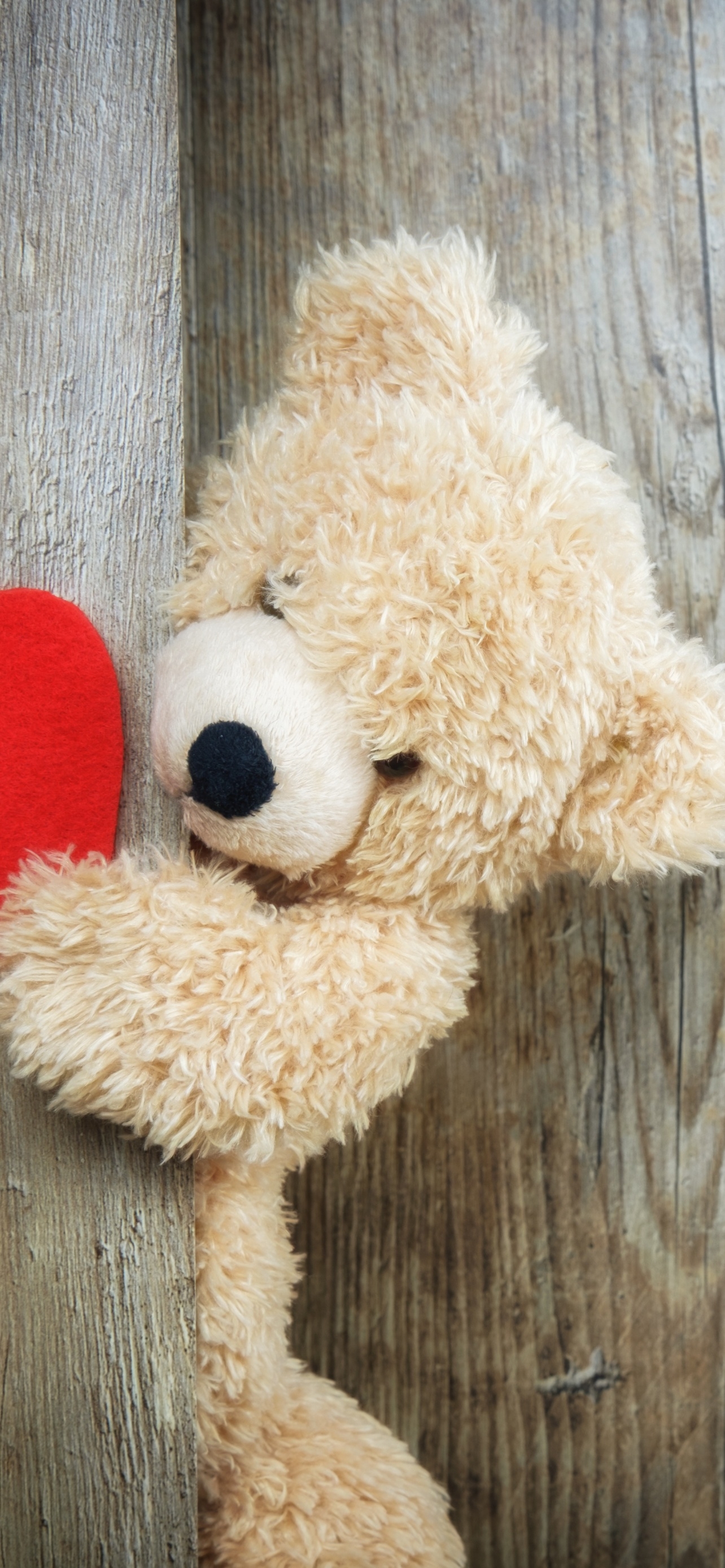 1290x2780 Teddy bear Wallpaper 4K, Red heart, Wooden background, Phone