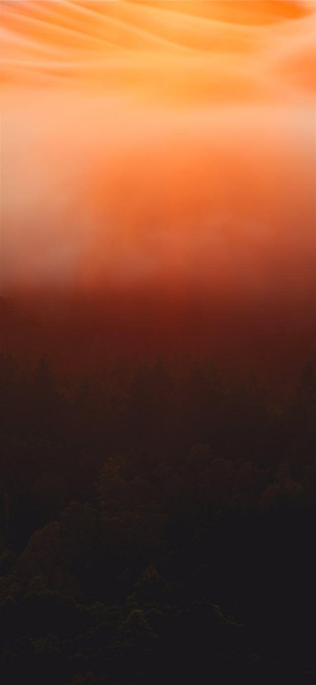 640x1390 SYMPHONY OF LIGHT iPhone X Wallpaper Download. iPhone Wallpaper, Phone