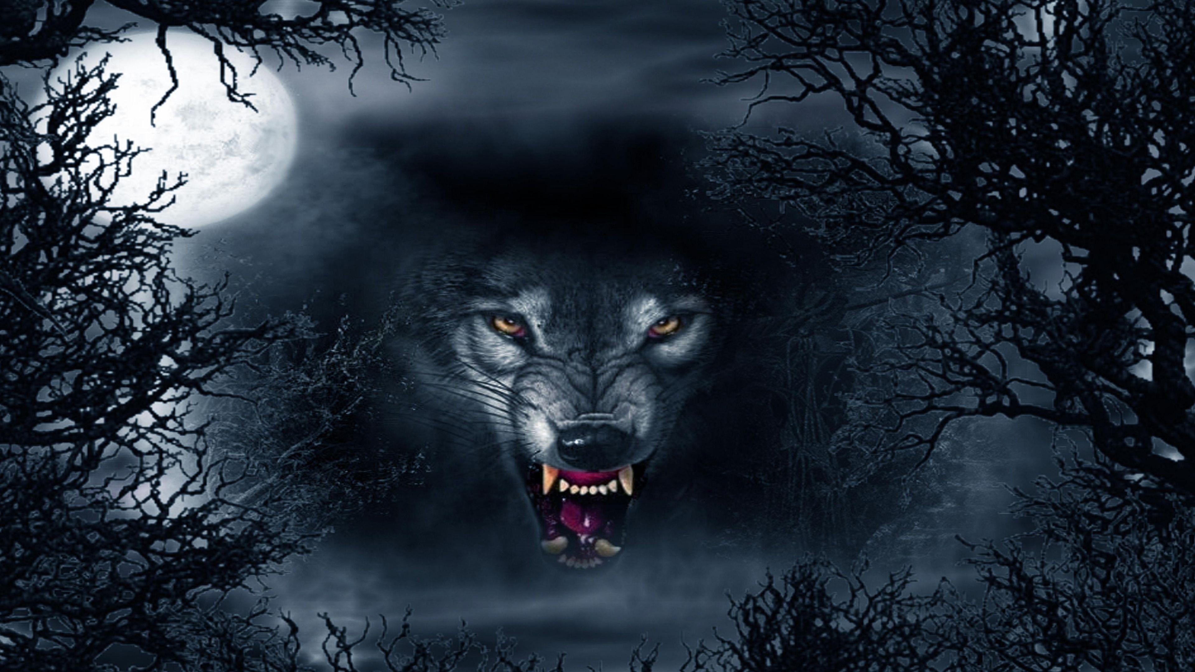 3840x2160 Dark Evil Wolf Wallpaper Free Dark Evil Wolf Background, Desktop