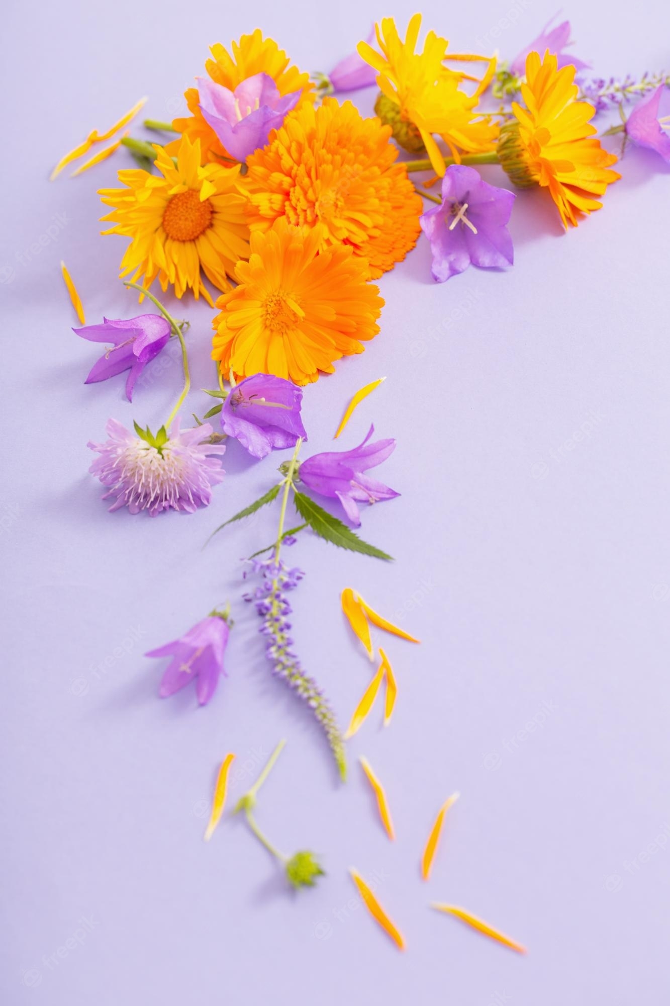 1340x2000 Premium Photo. Summer flowers on violet paper background, Phone