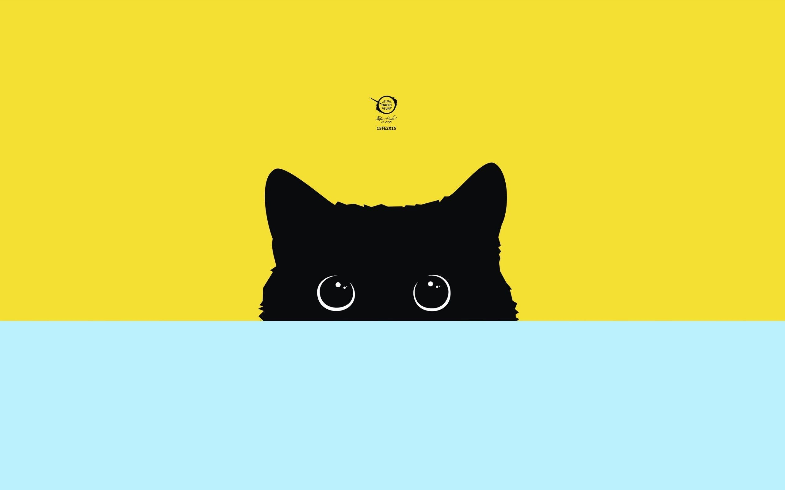 2560x1600 Aesthetic Minimalist Cat Wallpaper Cat Wallpaper, Desktop