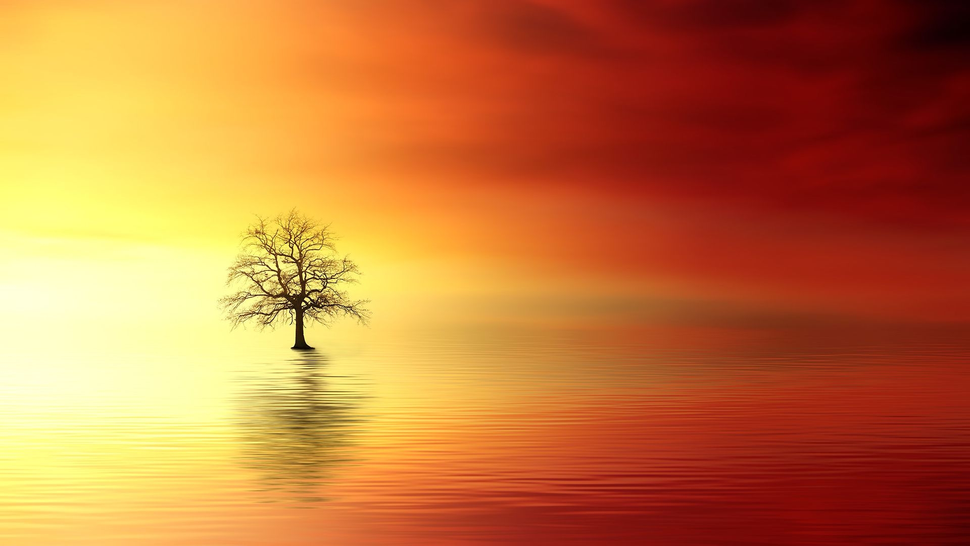 1920x1080 Cute Sunset Wallpaper For Chromebook HD Wallpaper, Desktop