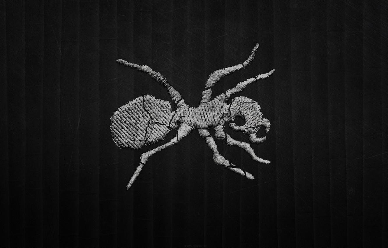 1340x850 Wallpaper strip, the dark background, logo, ant, Drum and Bass, Desktop