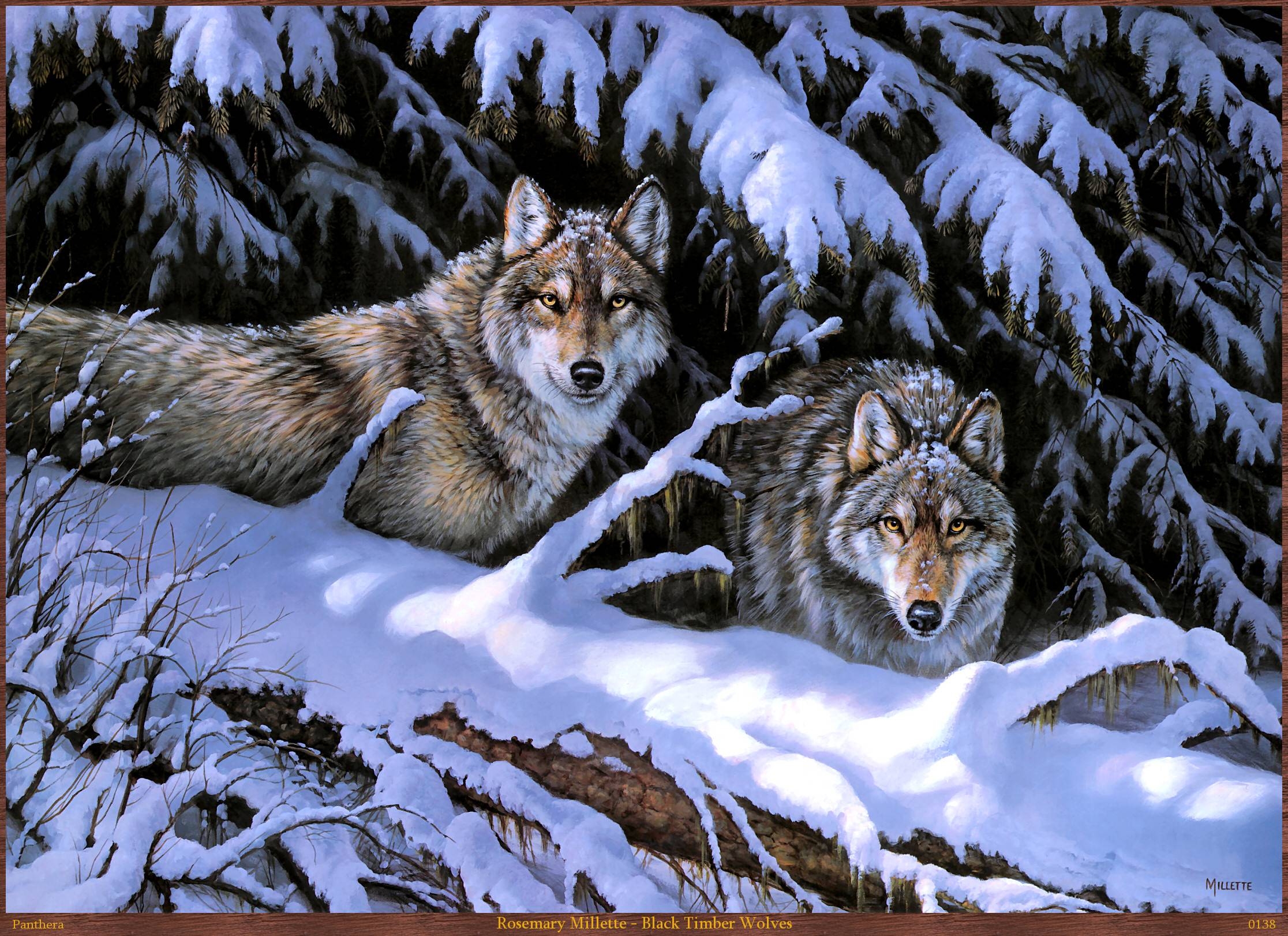 2240x1630 Timberwolf Wallpaper, Desktop