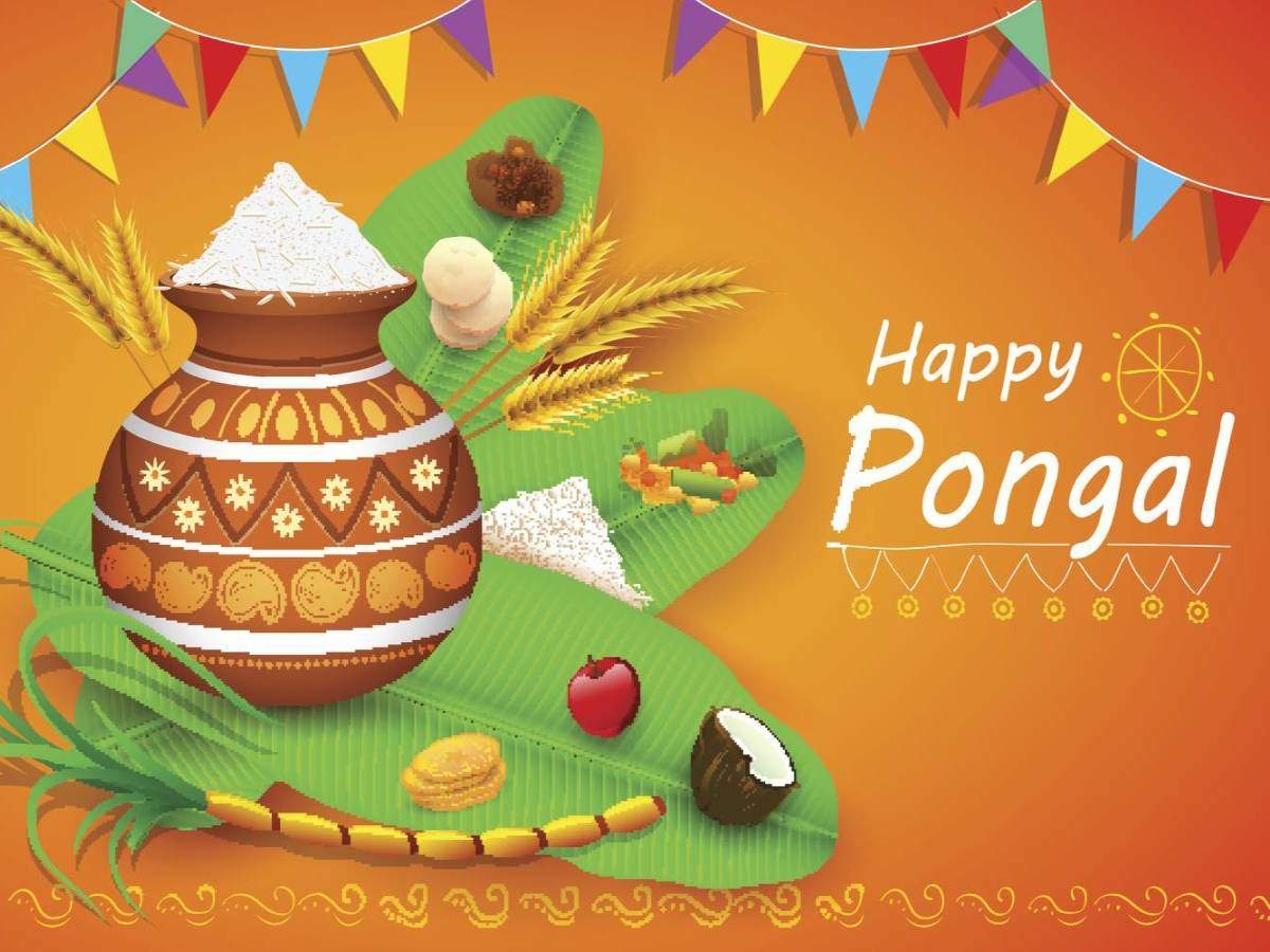 1200x900 Happy Pongal 2021: Image, Wishes, Messages, Quotes, Cards, Greetings, Picture, GIFs and Wallpaper of India, Desktop