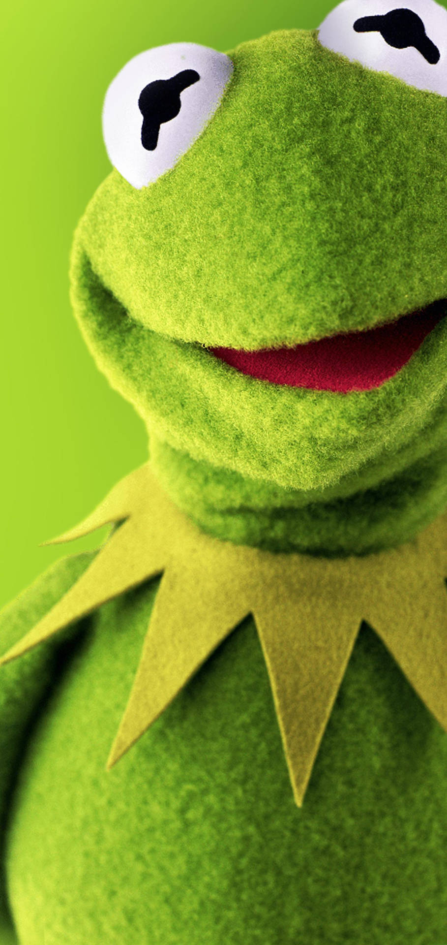 910x1920 Download Kermit The Frog Smiling Wallpaper, Phone