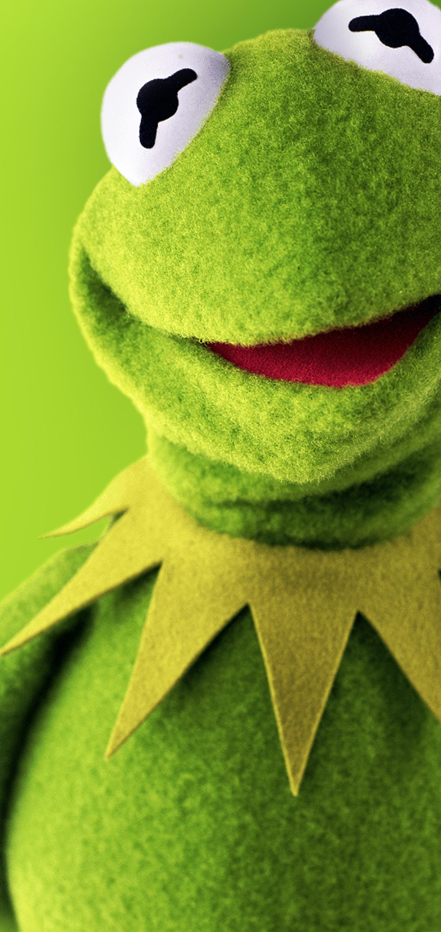 1440x3040 Kermit Wallpaper Free Kermit Background, Phone