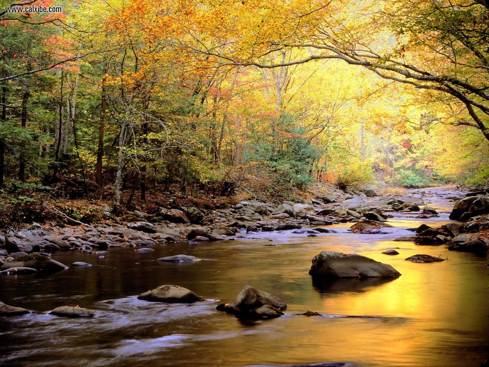 1600x1200 Nature: Little River In Autumn Great Smoky Mountains National Park, Desktop