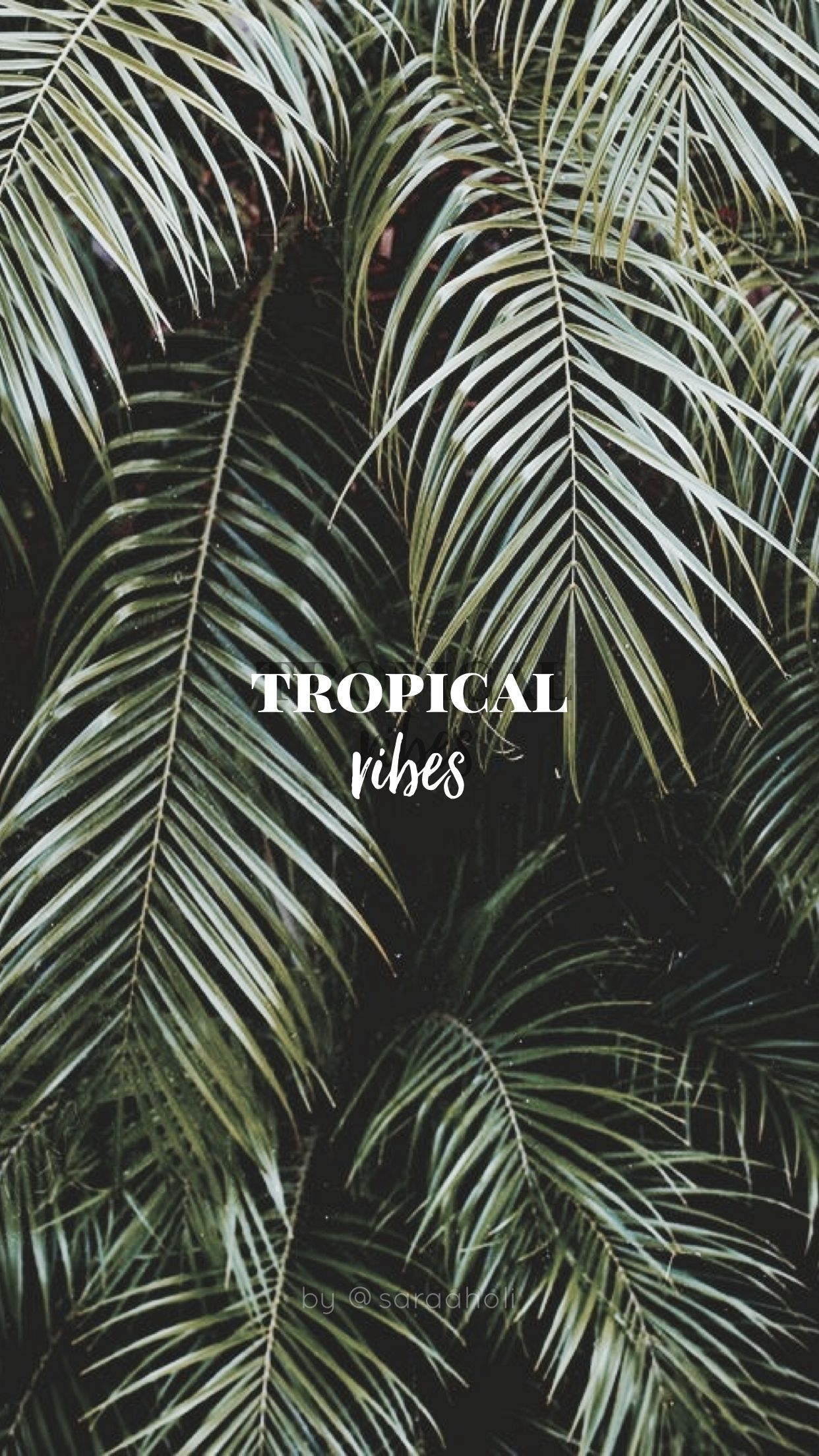 1250x2210 Tropical vibes Wallpaper Обои на айфон Растения. Тропические, Phone