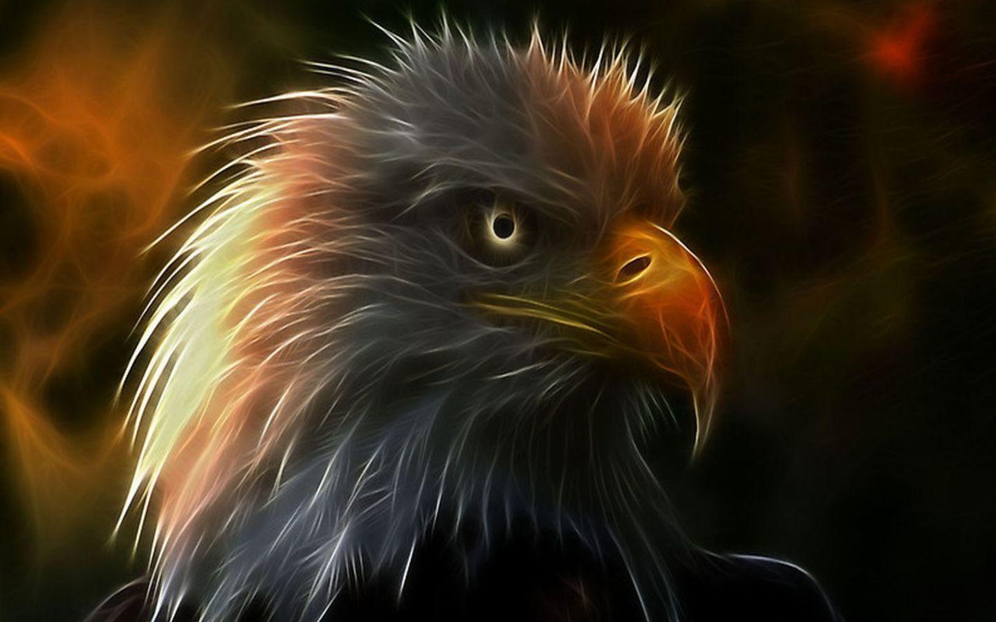 1440x900 Ultra HD Eagle Wallpaper 1440×900 Eagle Wallpaper Free Download 64, Desktop