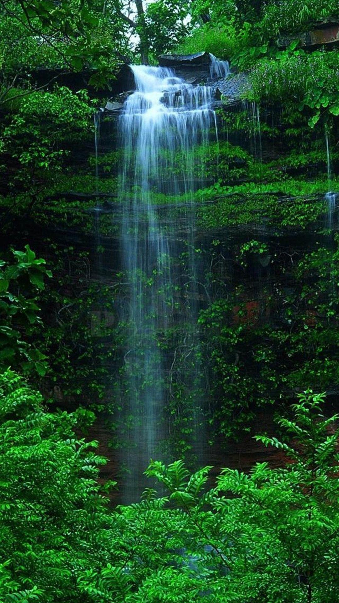 1080x1920 Nature Forest Waterfall iPhone 6 wallpaper. Waterfall, Phone