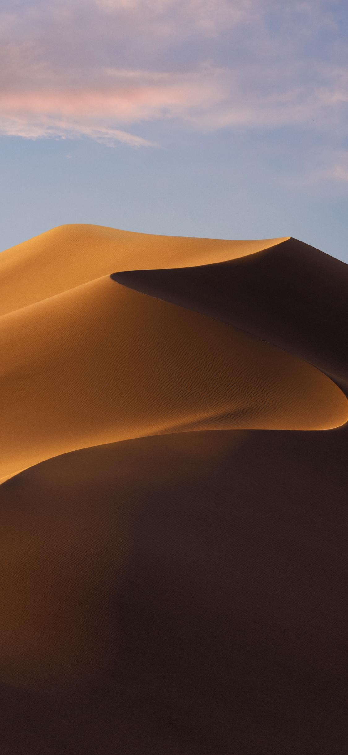 1130x2440 Download macOS Mojave wallpaper for desktop and iPhone, Phone