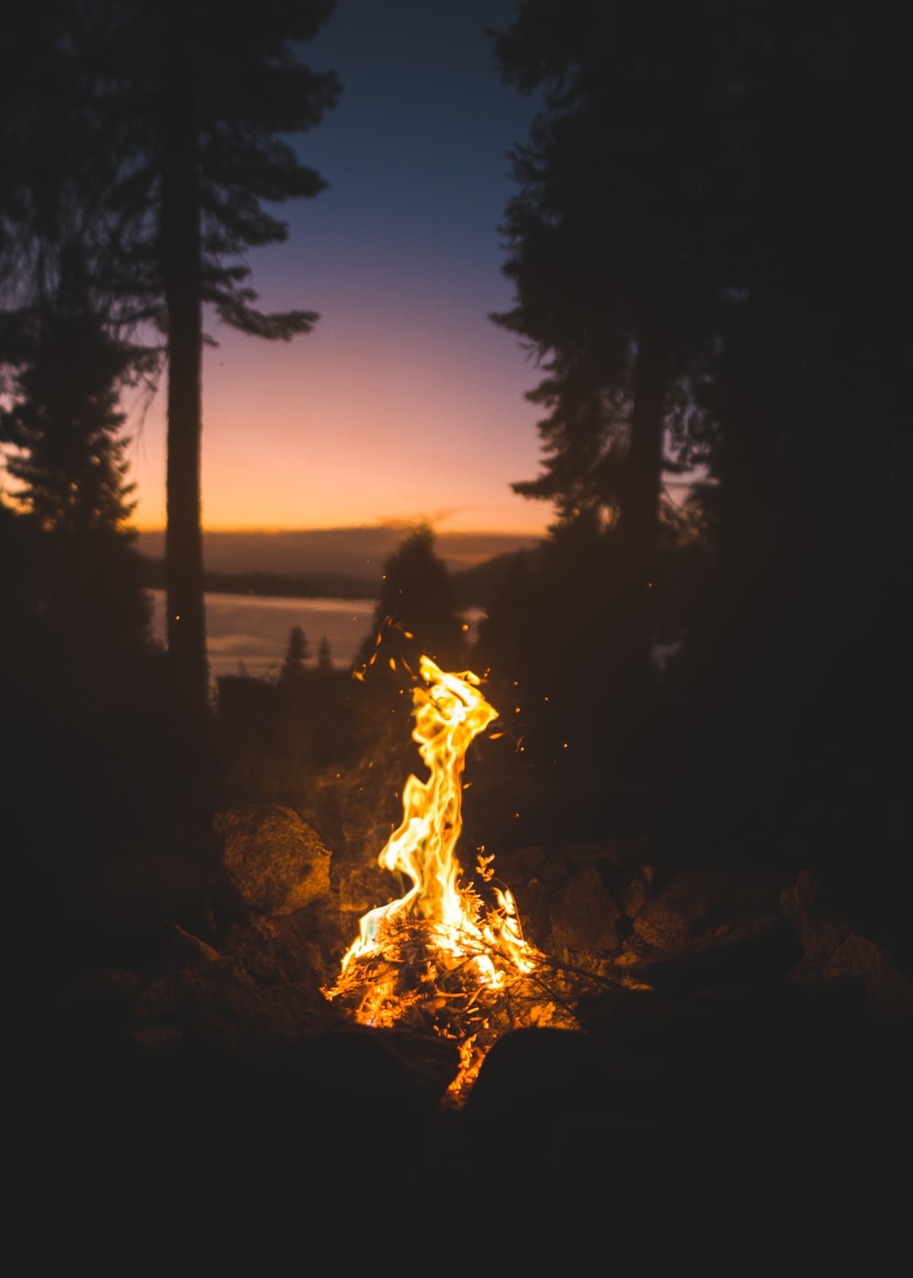 1000x1400 Fire. best free fire, flame, bonfire and human photo, Phone