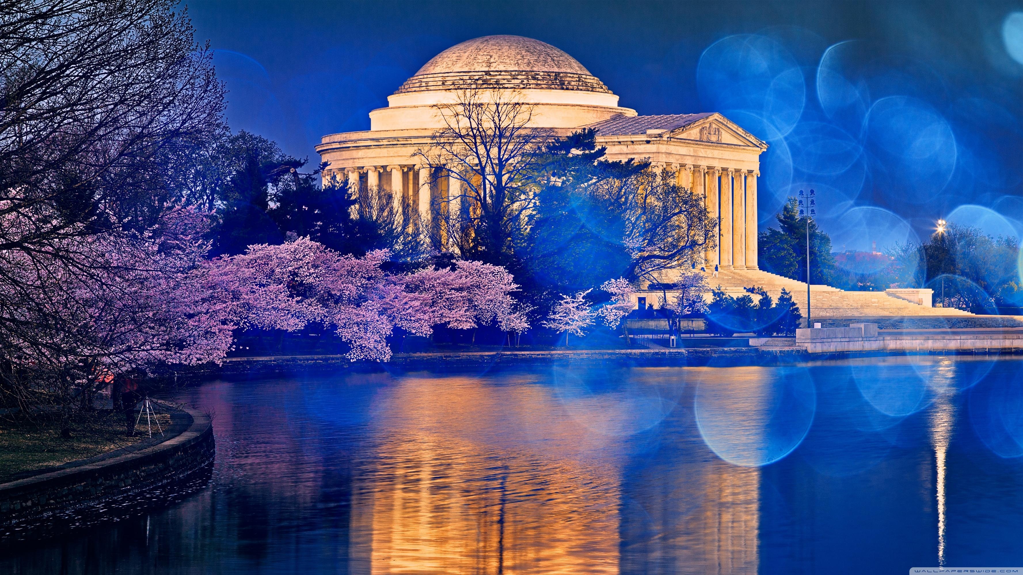 3560x2000 Thomas Jefferson Memorial Cherry Blossom ❤ 4K HD Desktop Wallpaper, Desktop