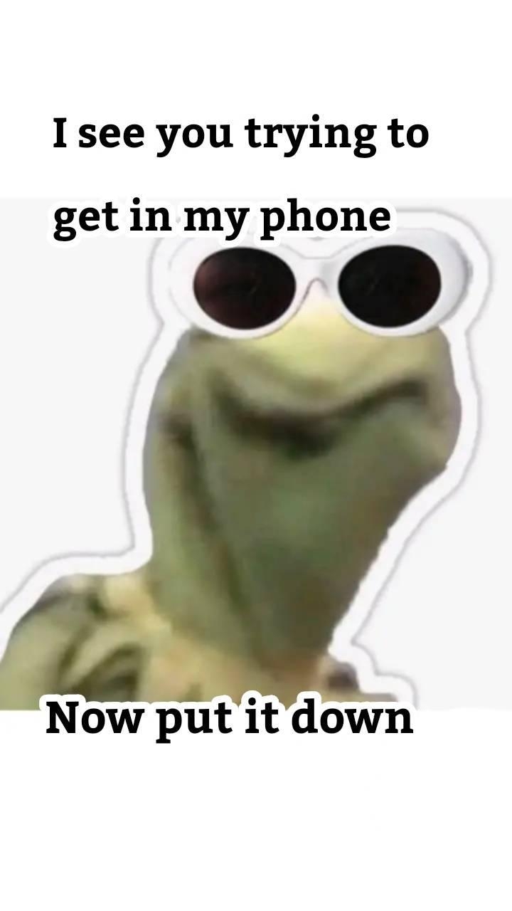 720x1280 Kermit meme wallpaper, Phone