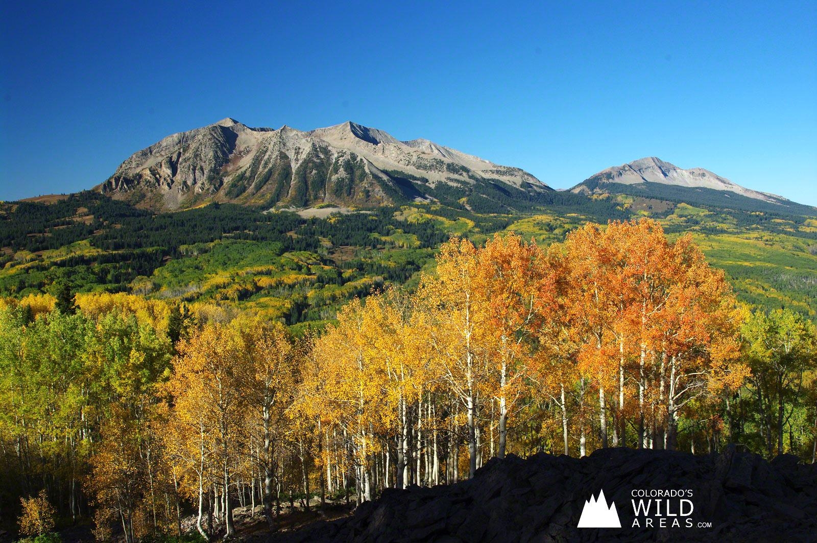 1600x1070 Colorado's Fall Colors Free Wallpaper. Colorado's Wild Areas, Desktop