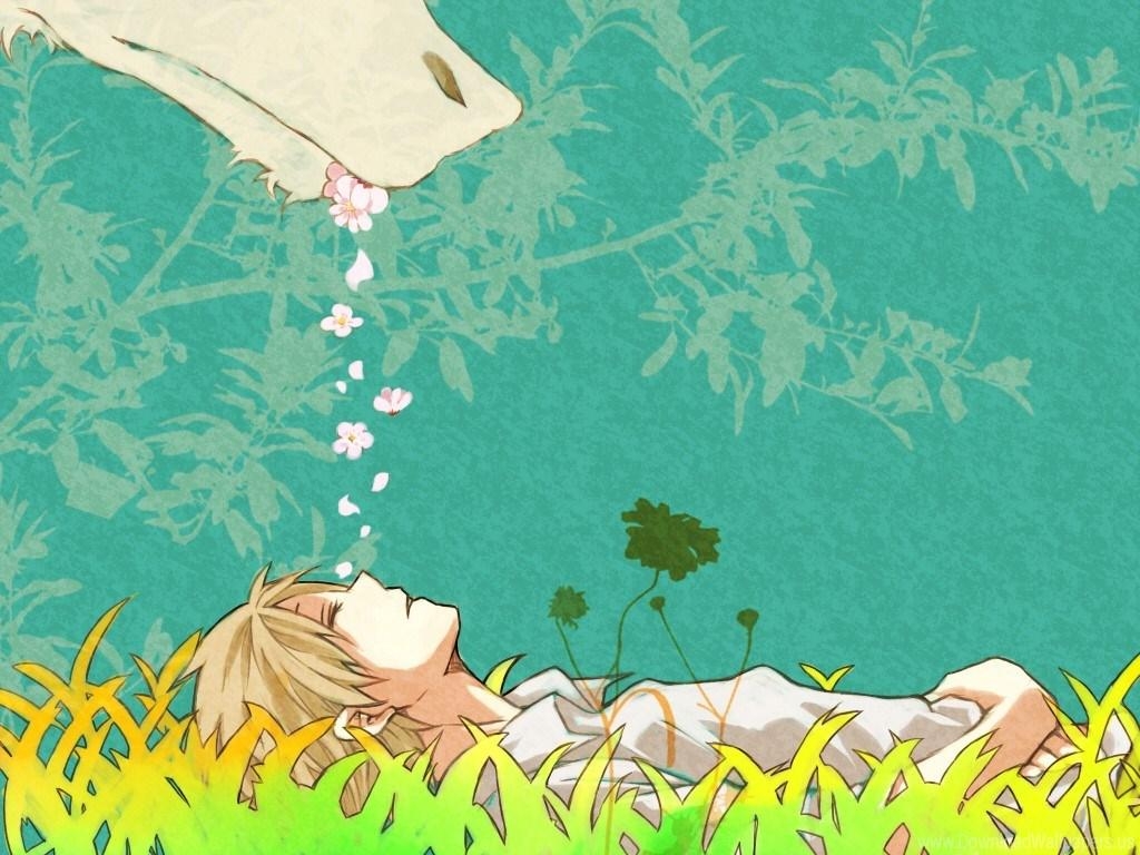 1030x770 Natsume Yuujinchou Wallpaper, Desktop