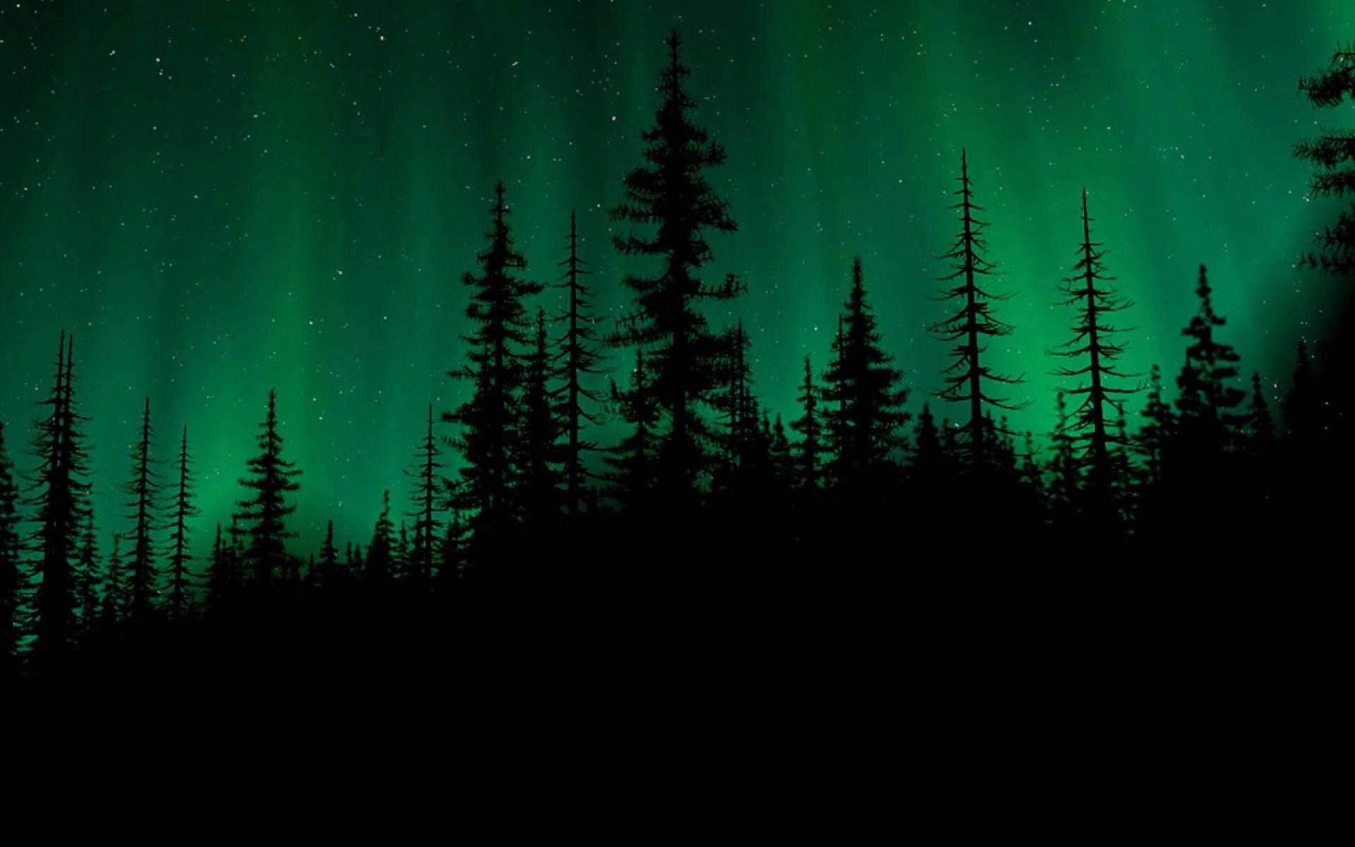 1920x1200 Green and Picture Wallpaper for PC & Mac, Tablet, Desktop