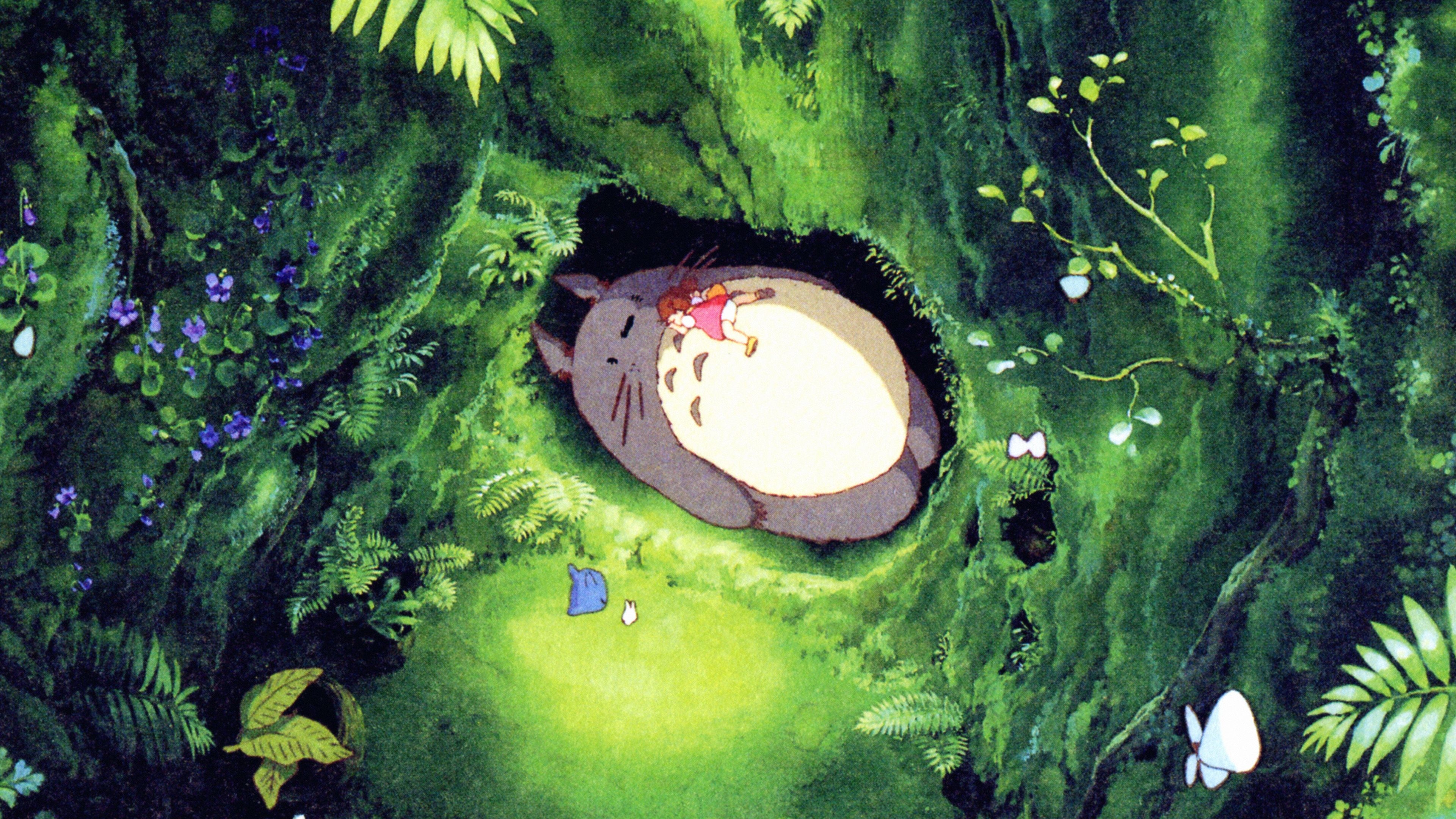 3840x2160 Kawaii Totoro Desktop Wallpaper, Top Desktop Wallpaper, 's Moving Castle Wallpaper iPhone HD Wallpaper, Desktop