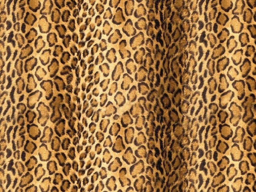 1030x770 cheetah print wallpaper, Desktop