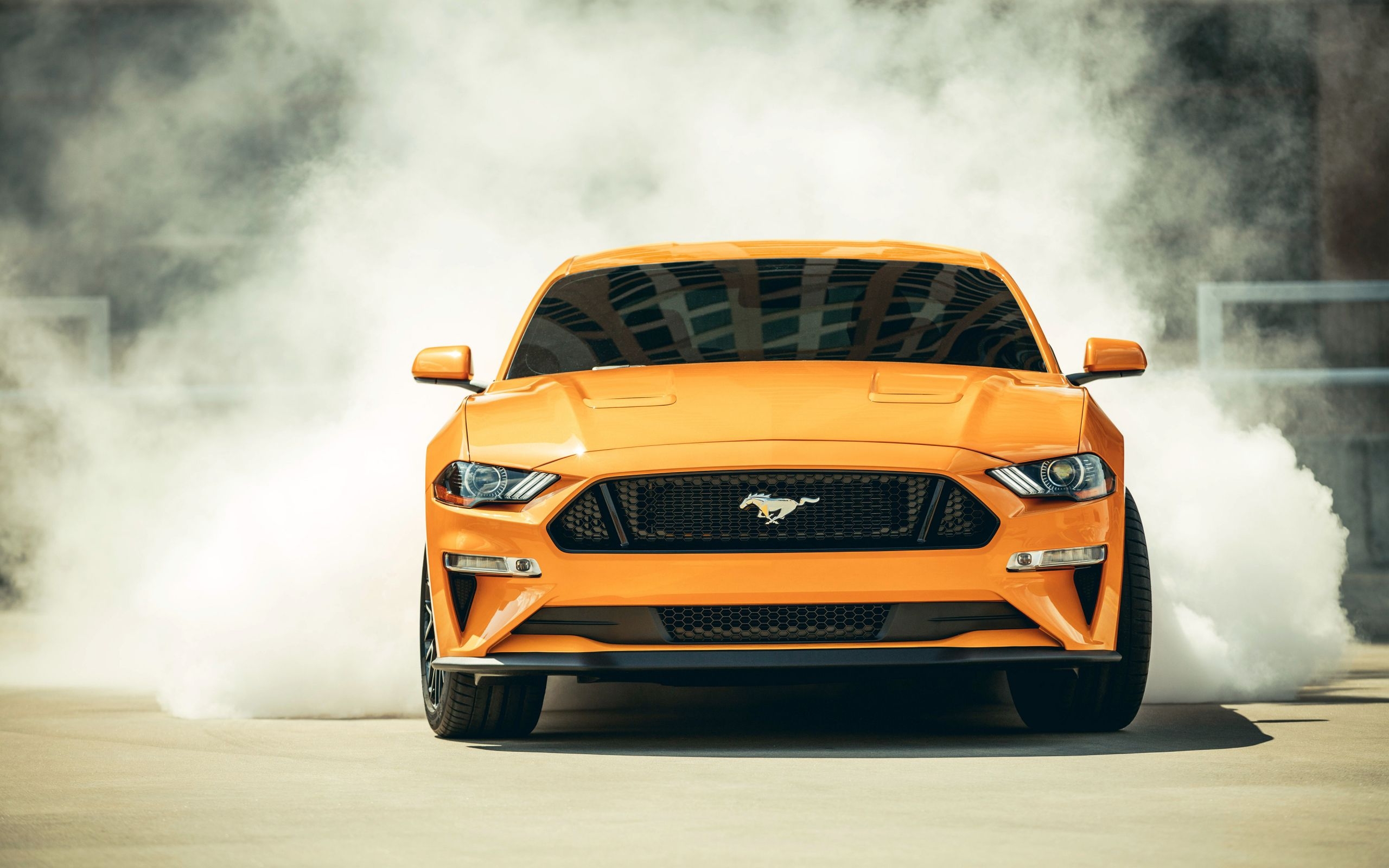 2560x1600 Desktop Wallpaper 2018 Ford Mustang Gt Fastback, Sports Car, Smoke, 4k, HD Image, Picture, Background, D32b12, Desktop