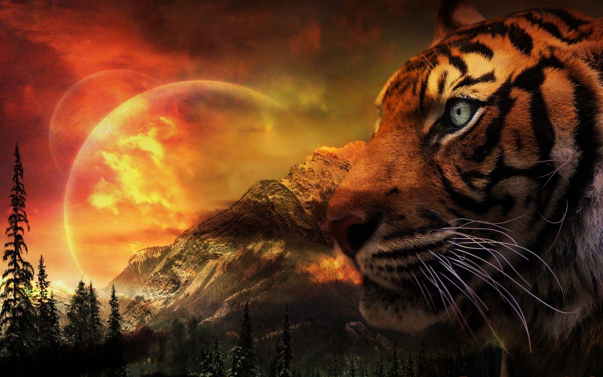 1920x1200 Fantasy Landscape Tiger. Home / Photographs, Desktop