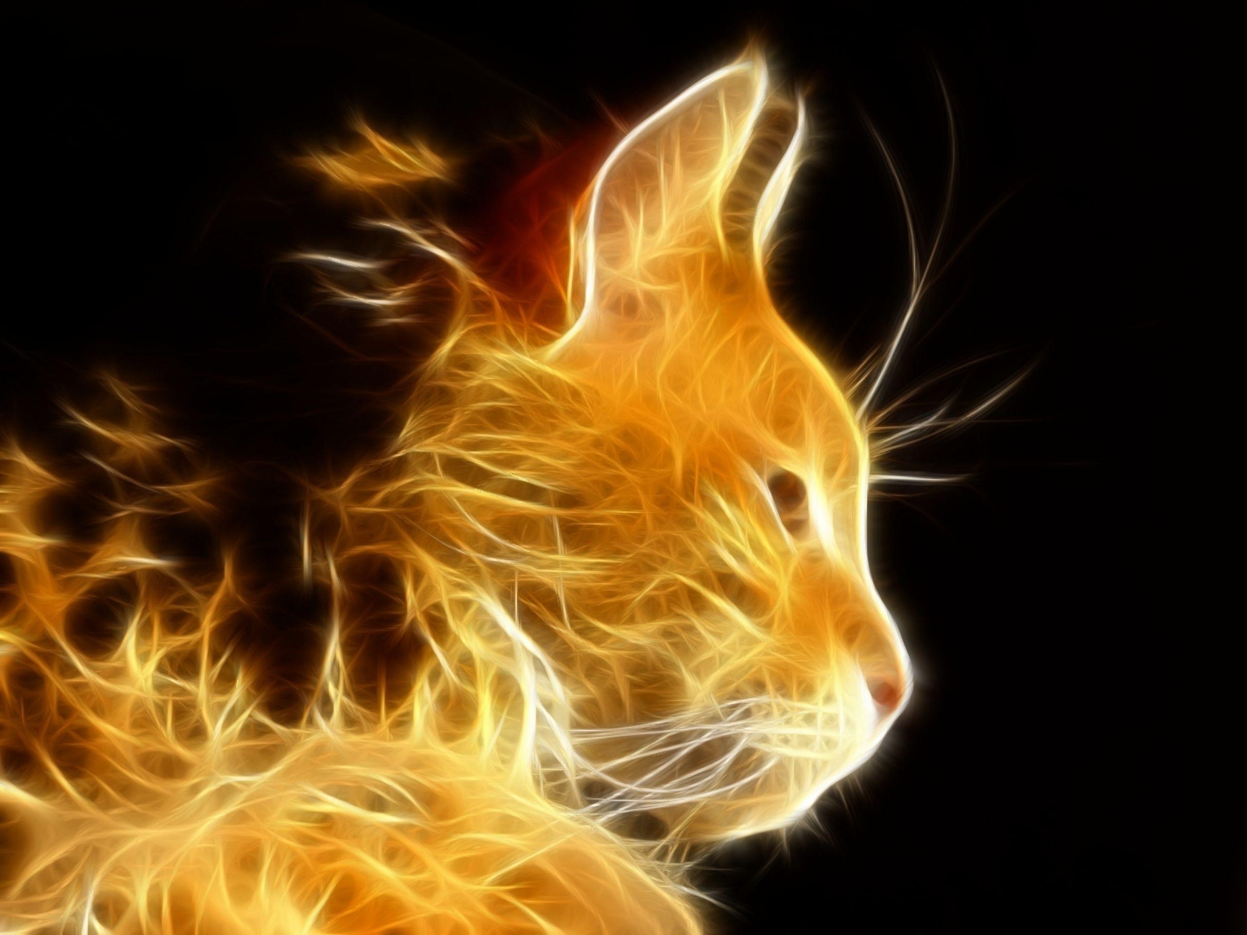 2560x1920 Cat Wallpaper For Computer, PC Cat New Picture (NMgnCP), Desktop