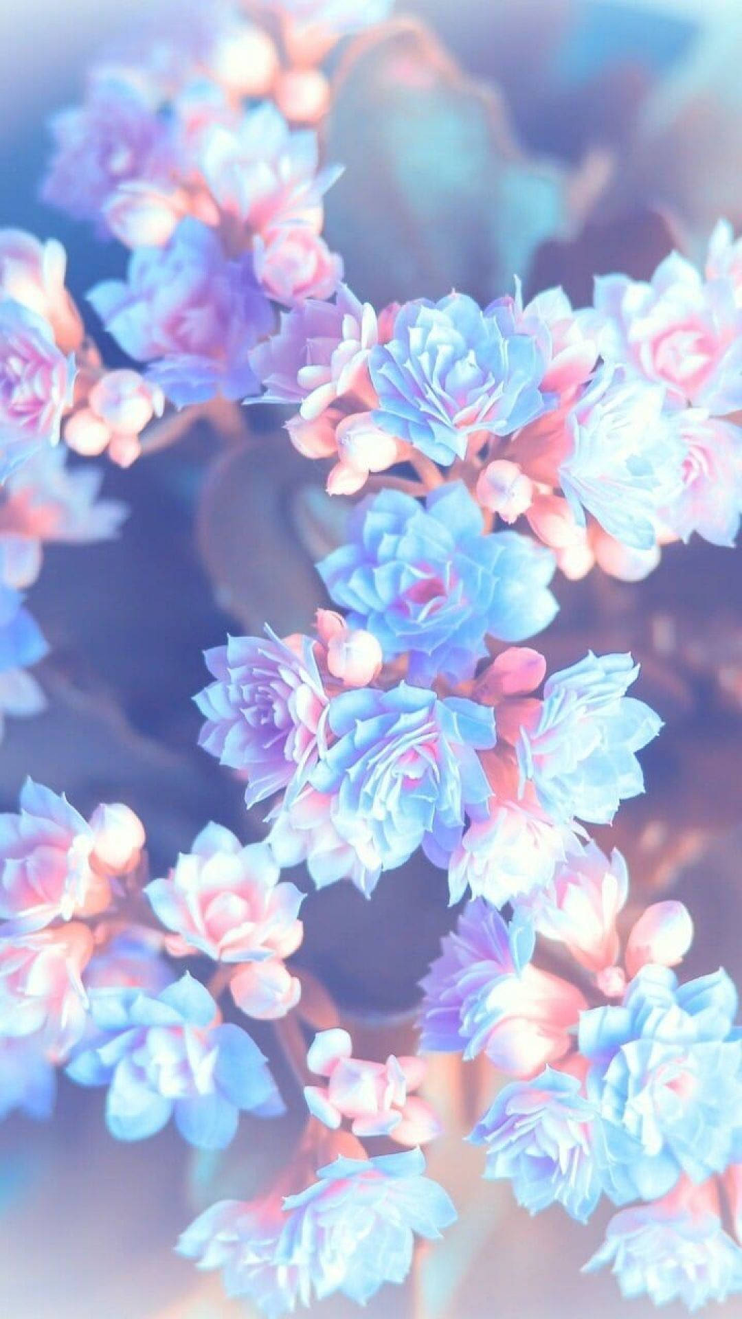 1080x1920 Pastel Blue Aesthetic iPhone Wallpaper, Phone