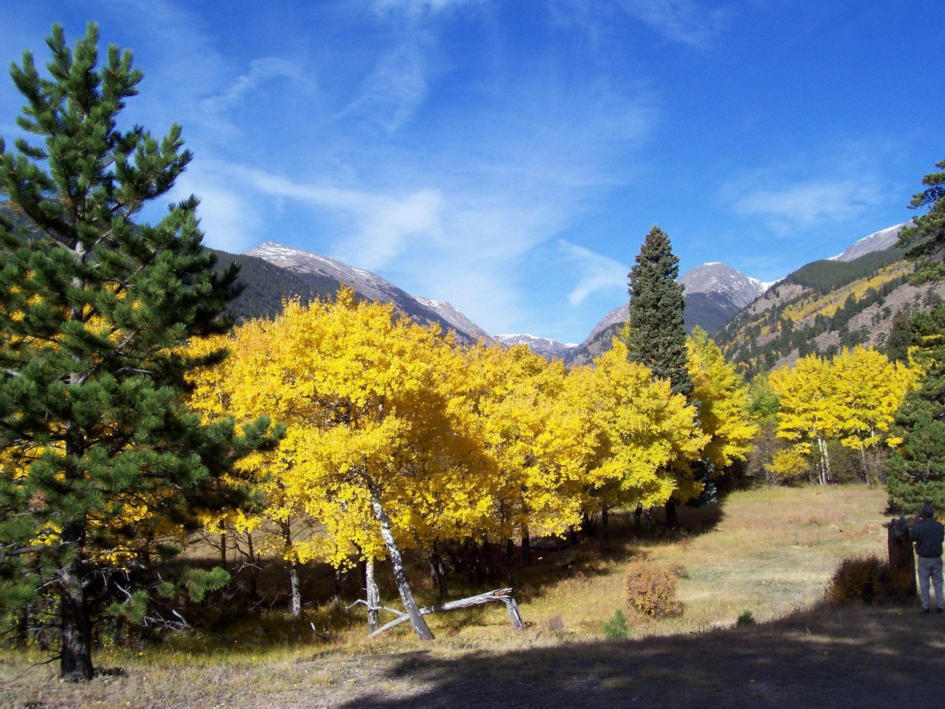 1920x1440 Colorado Fall Colors Rocky Mountain National Park US Travel, Desktop