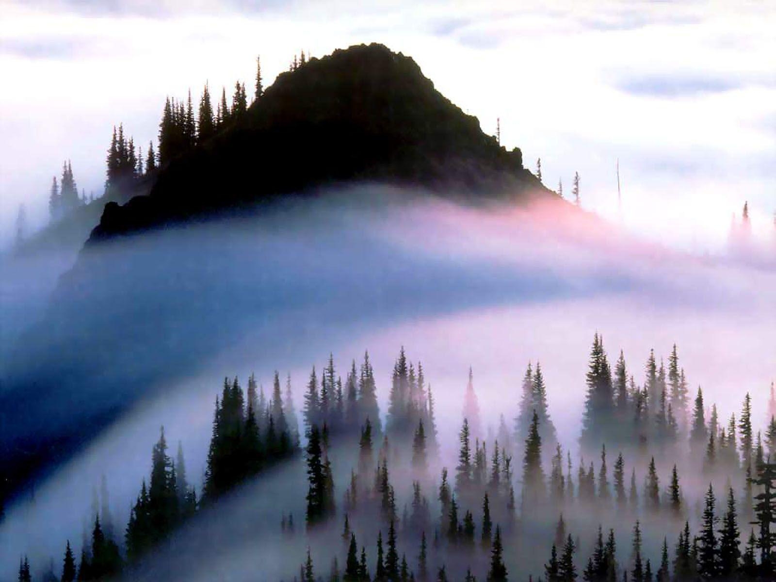 1600x1200 wallpaper: Olympic National Park Wallpaper, Desktop