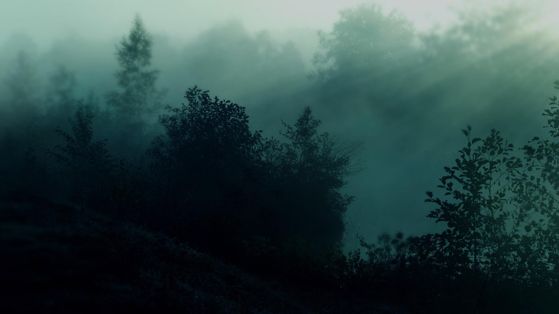 1920x1080 Dark Forest Wallpaper Ideas, Desktop