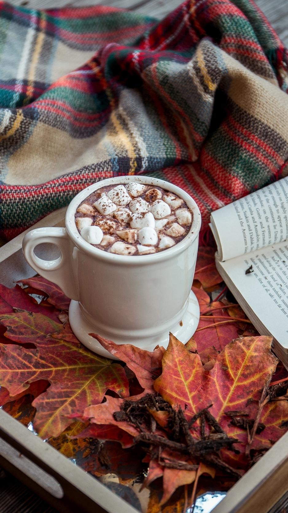 940x1670 Download wallpaper  cocoa, marshmallow, plaid, book, Phone