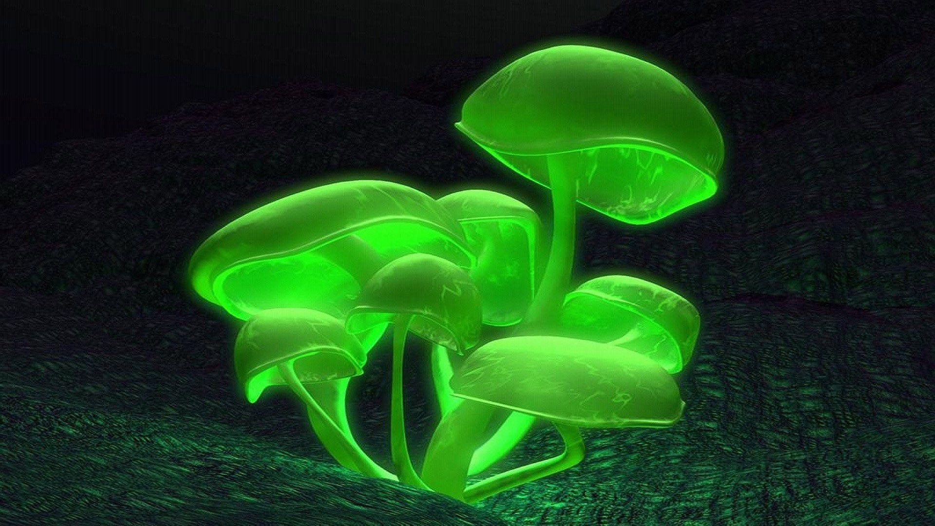 1920x1080 Glowing Green Mushrooms, Desktop