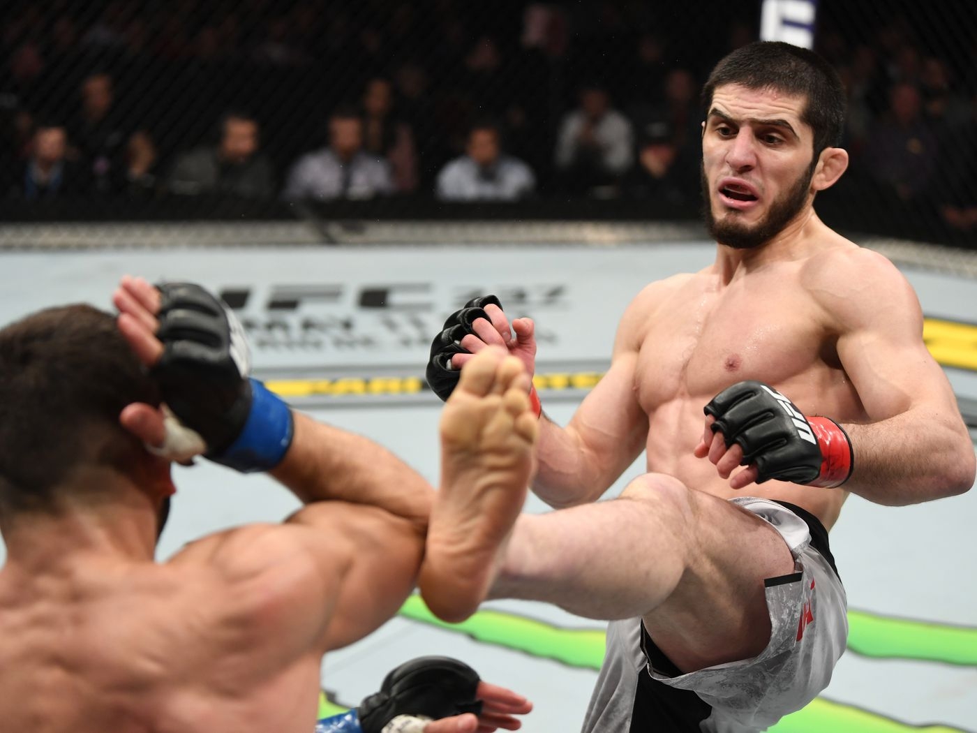 1400x1050 UFC 242 card: Islam Makhachev vs Davi Ramos full fight preview, Desktop