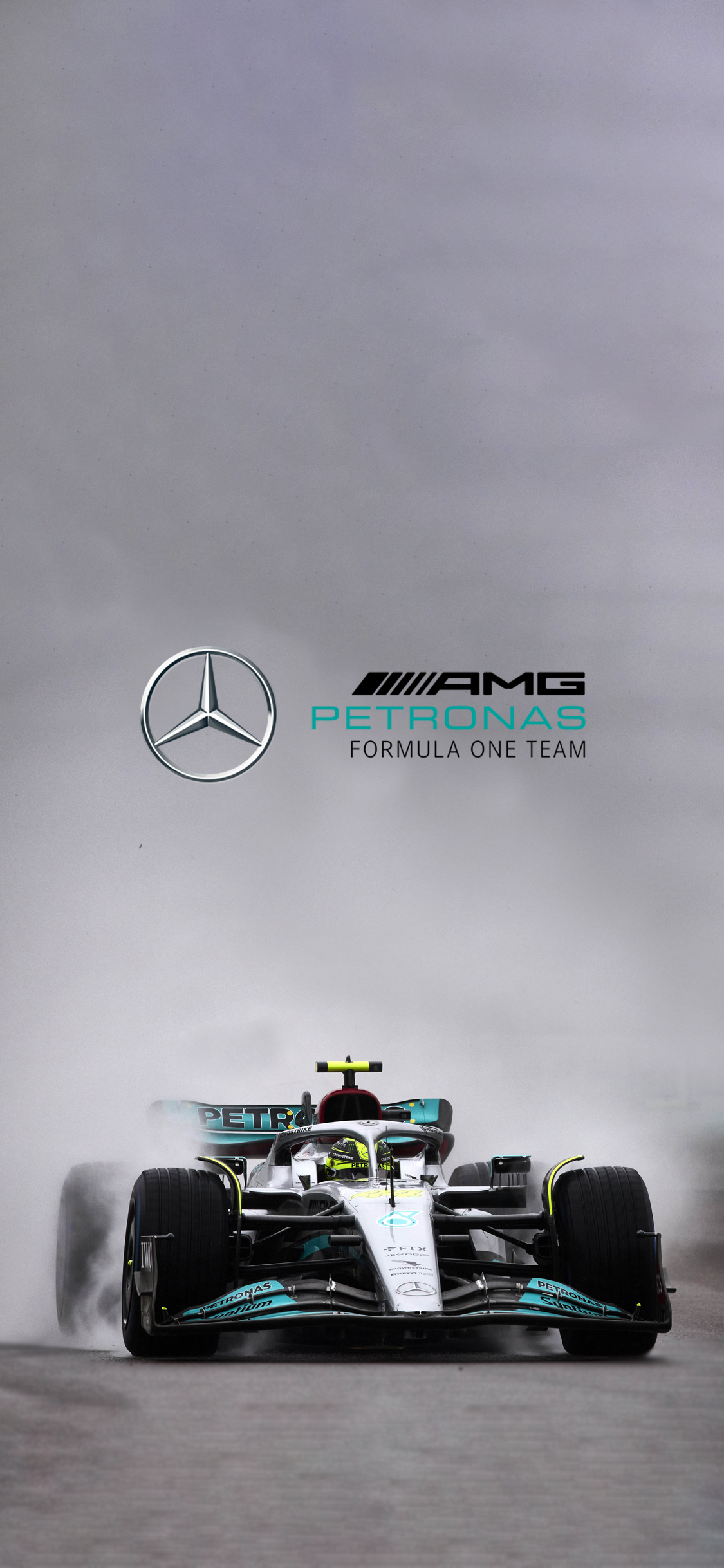 1130x2440 Lewis Hamilton Romagna 2022. Phone Wallpaper with and without logo, Phone