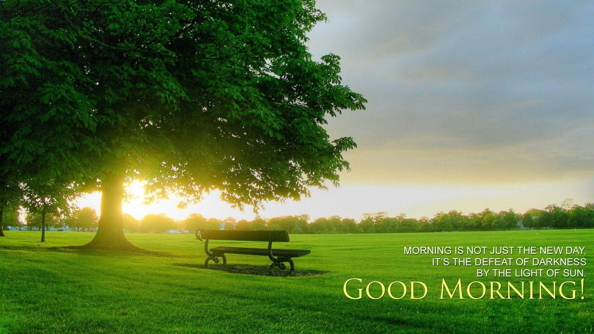 1920x1080 Good morning fresh wallpaper and background, Desktop