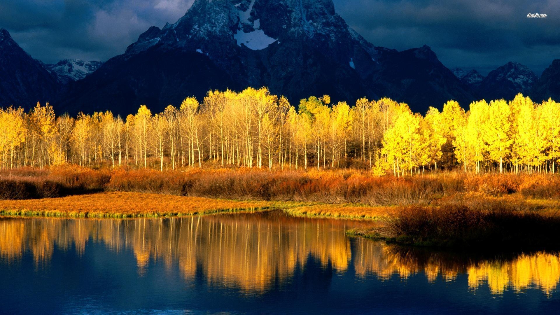 1920x1080 Aspen Wallpaper Free Aspen Background, Desktop