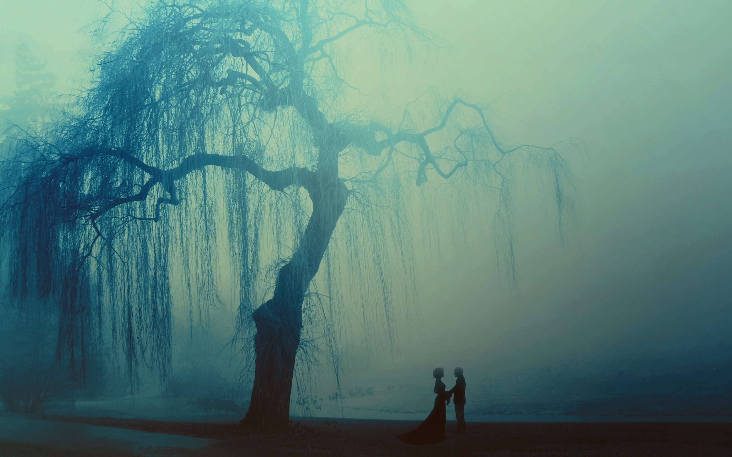 2560x1600 Weeping Willow Trees Women Men Landscape  UHD Wallpaper. Walldump HD and UHD Wallpaper, Desktop